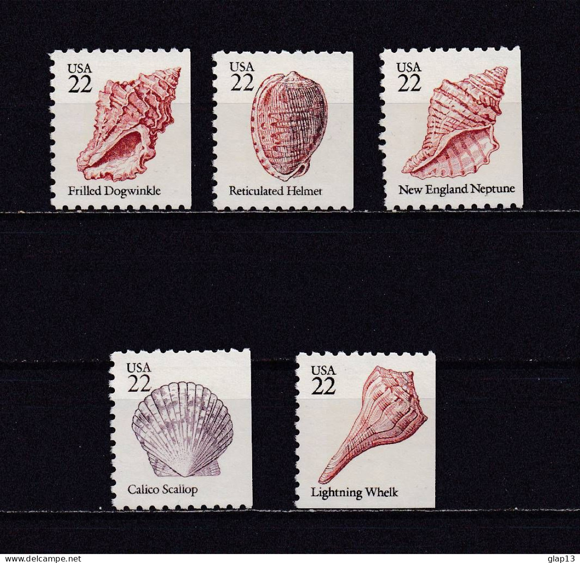 ETATS-UNIS 1985 TIMBRE N°1579/83 NEUF** COQUILLAGES - Ungebraucht