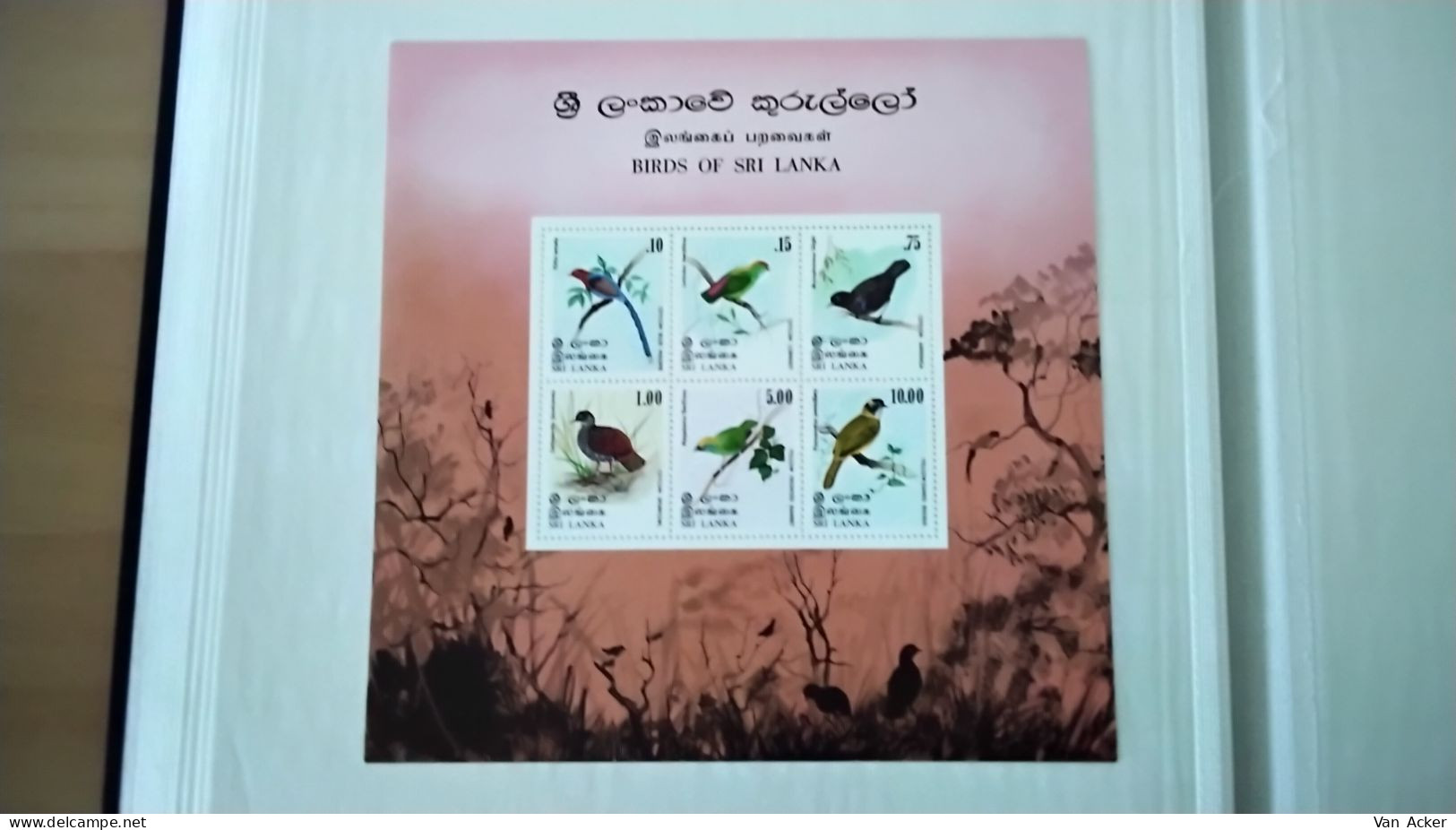 Sri Lanka Birds 1979 MNH. - Sri Lanka (Ceylon) (1948-...)