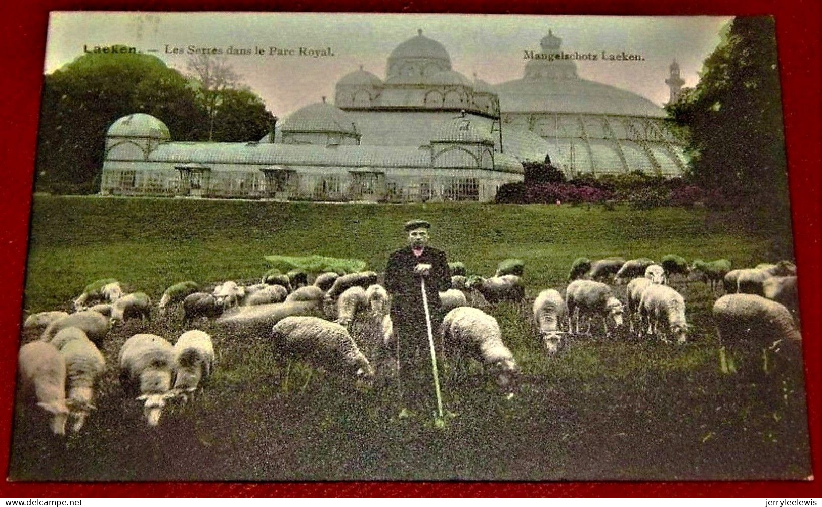 BRUXELLES -  LAEKEN  -  Les Serres Dans Le Parc Royal     - Berger Et Ses Moutons - Laeken