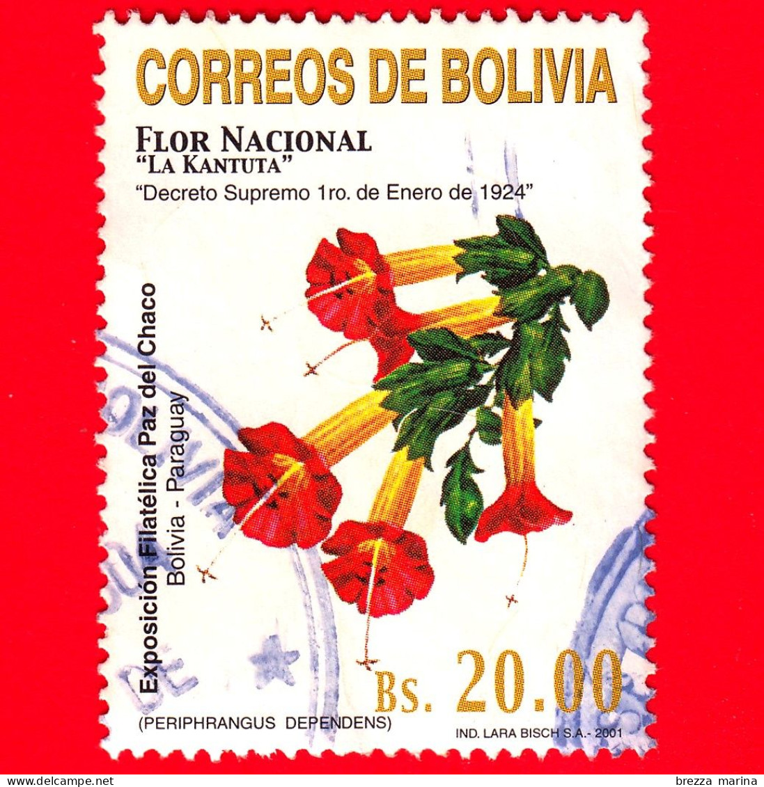 BOLIVIA - Usato - 2001 - Fiore Nazionale - Qantuta Tricolore - Kantuta - 20.00 - Bolivie