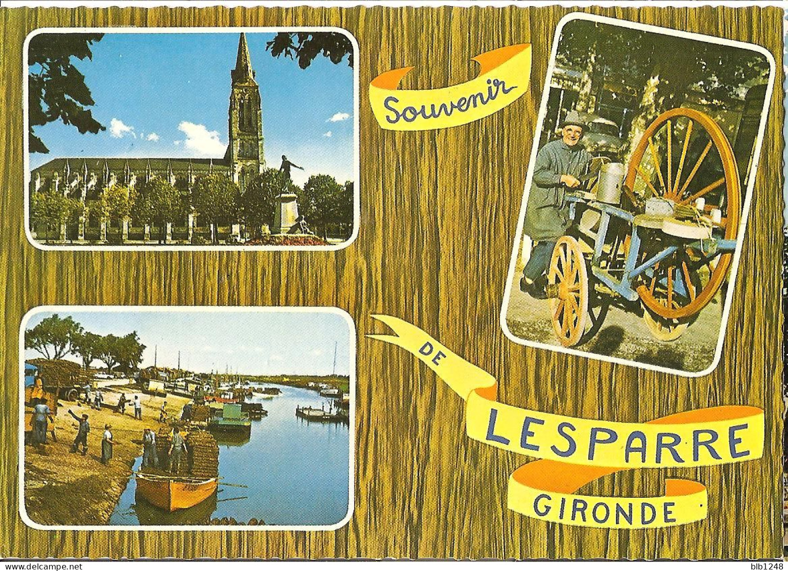 [33] Gironde > CPM  Souvenir De Lesparre - Lesparre Medoc