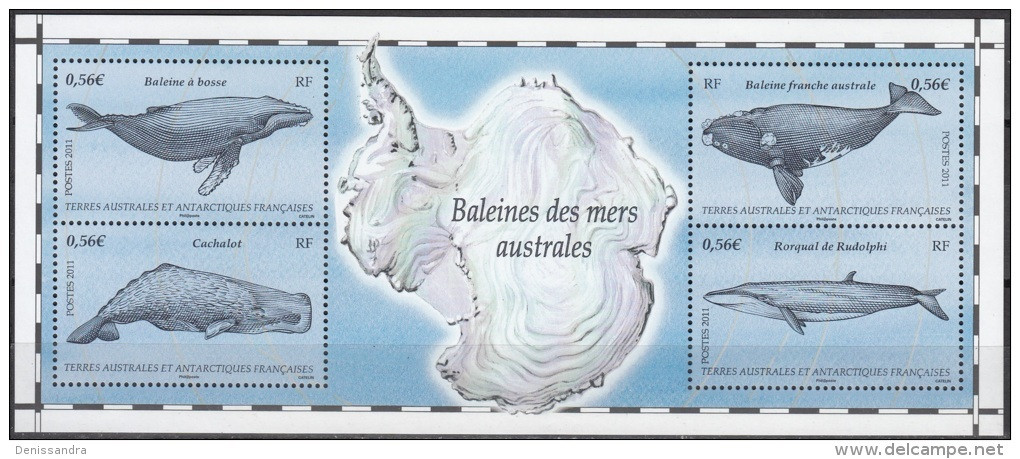 TAAF 2011 Yvert Bloc Feuillet 25 Neuf ** Cote (2017) 8.80 € Baleines Des Mers Australes - Blocchi & Foglietti
