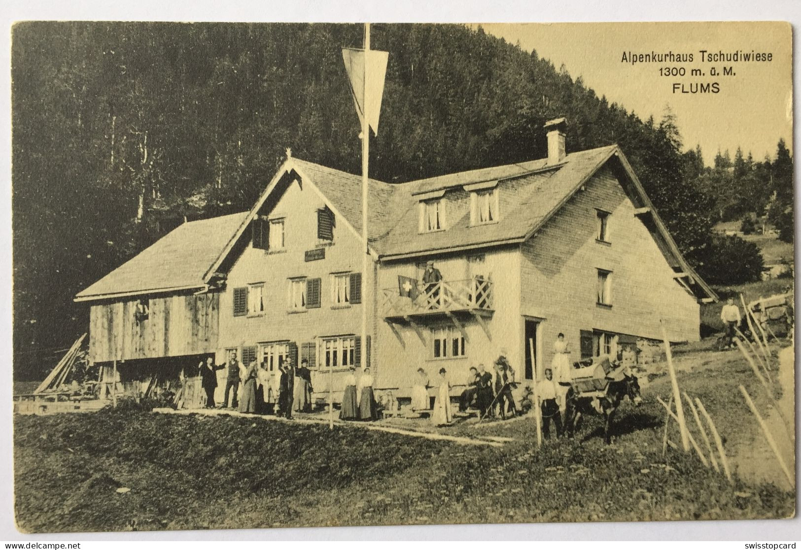 FLUMS Alpenkurhaus Tschudiwiese, Transport Mit Maultier - Flums