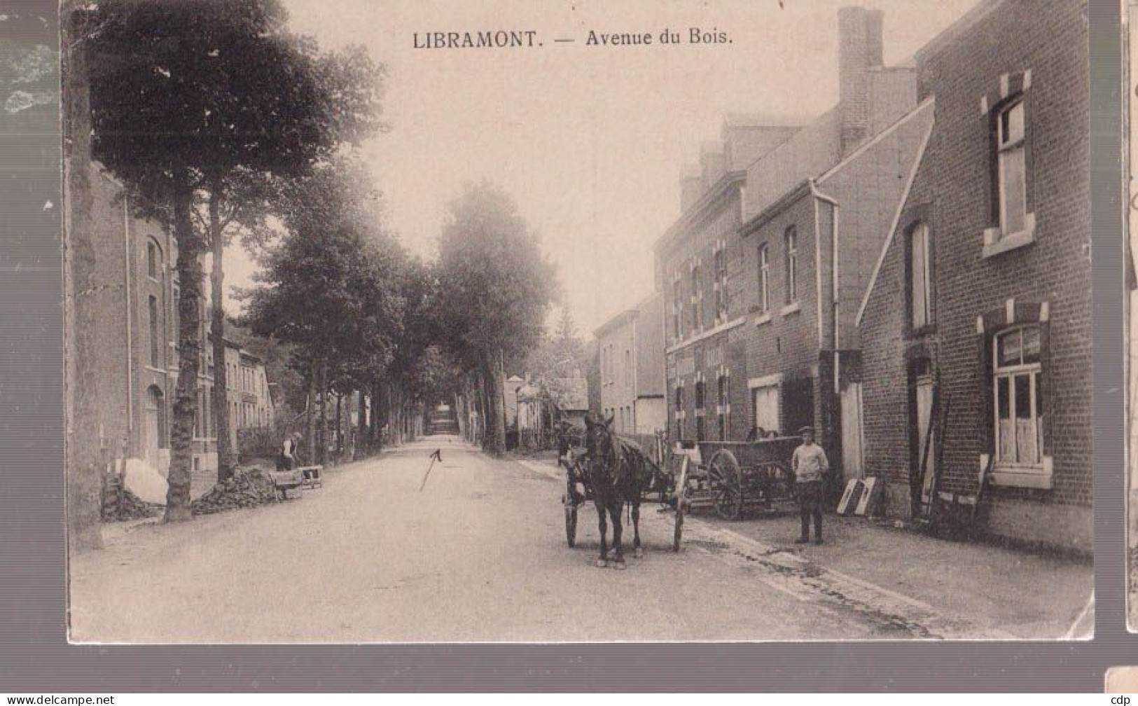Cpa Libramont  Attelage  1916   Cachets Allemands - Libramont-Chevigny