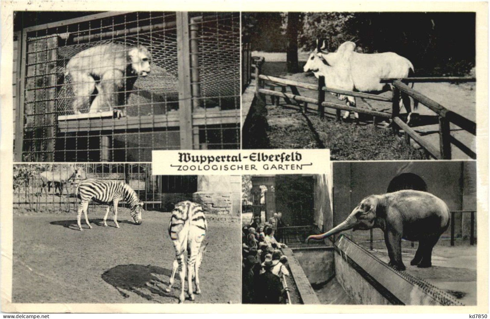 Wuppertal Elberfeld - Zoologischer Garten - Wuppertal