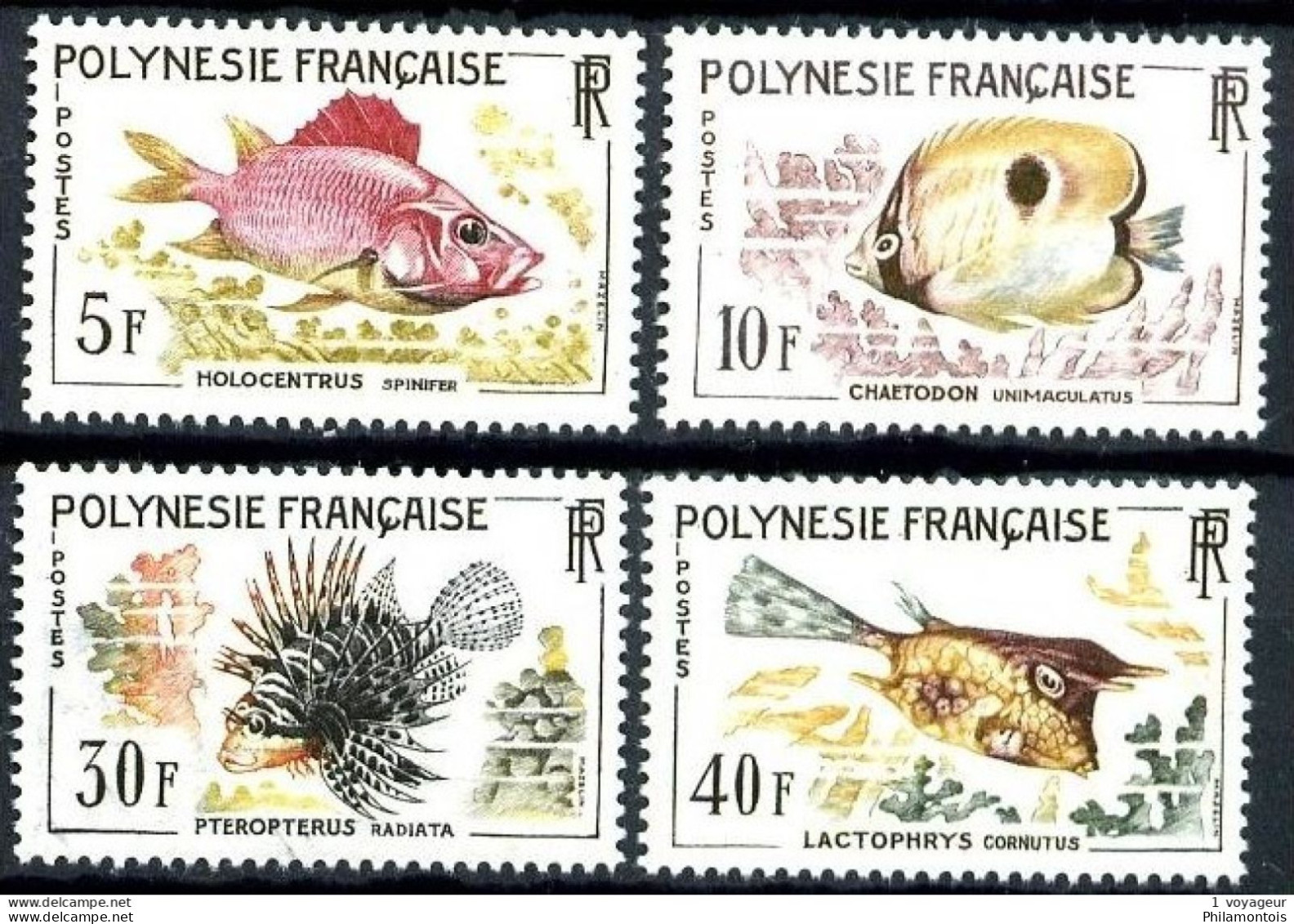 POLYNESIE - 18 / 21 - Poissons - Série Complète 4 Valeurs - Neufs N* - Très Beaux - Neufs