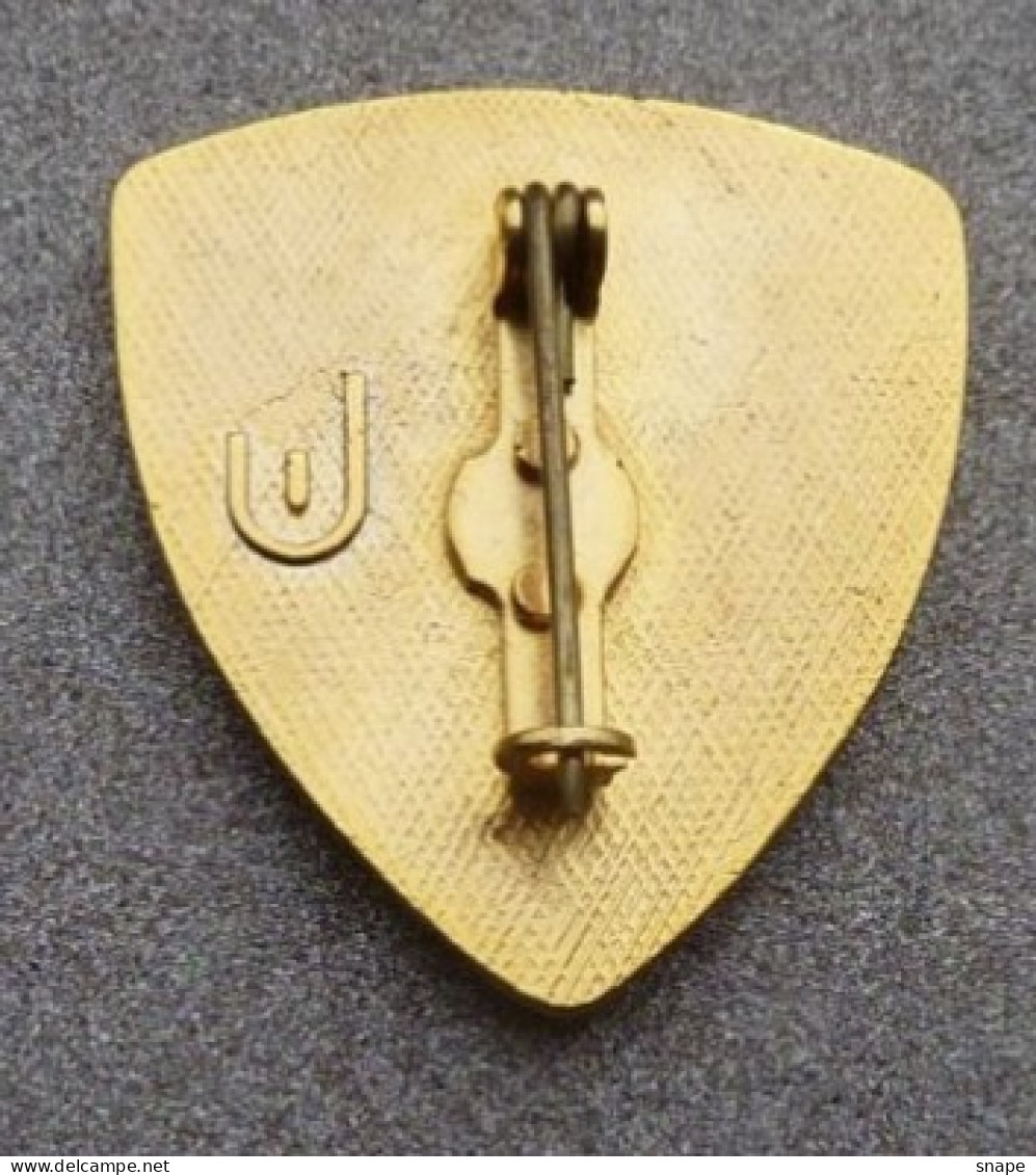 Distintivo Vetrificato - Polizia Di Frontiera Marittima - PS - Usato Obsoleto - Italian Police Insignia (283) - Polizia