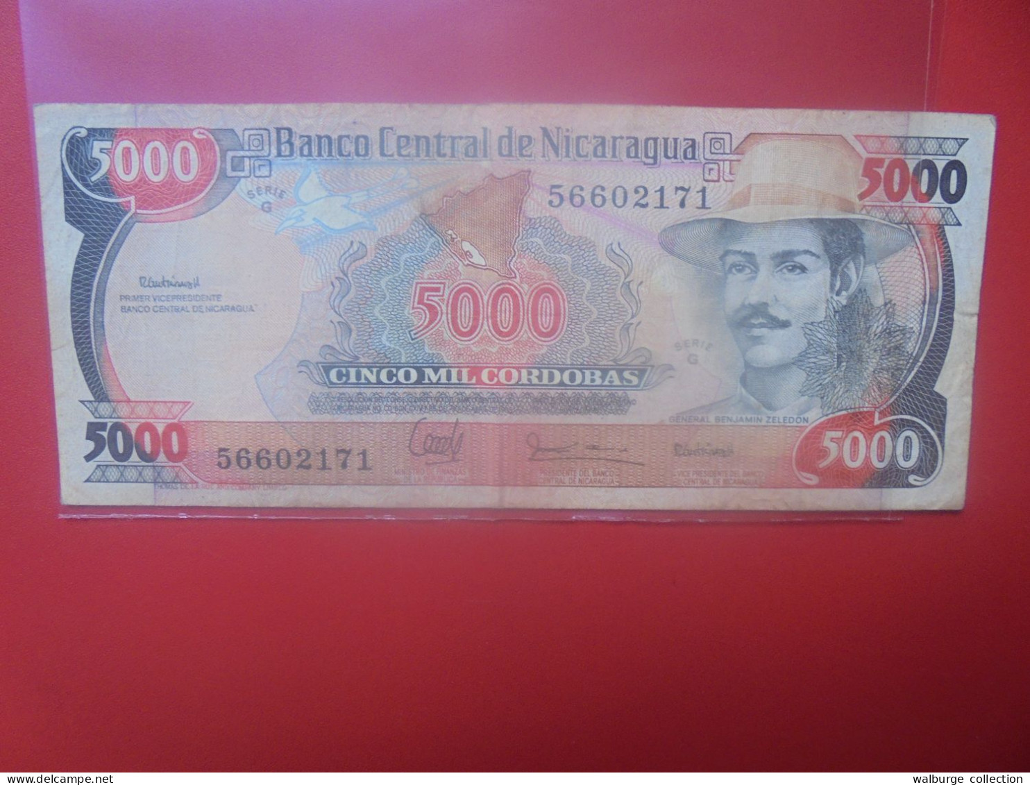 NICARAGUA 5000 CORDOBAS ND 1988 Circuler (B.33) - Nicaragua