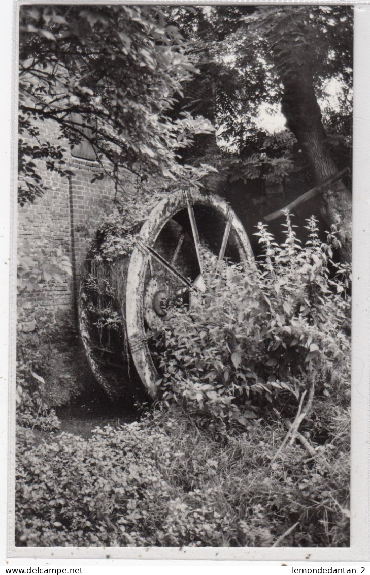 Nederbrakel. Slijpkotmolen. * - Brakel