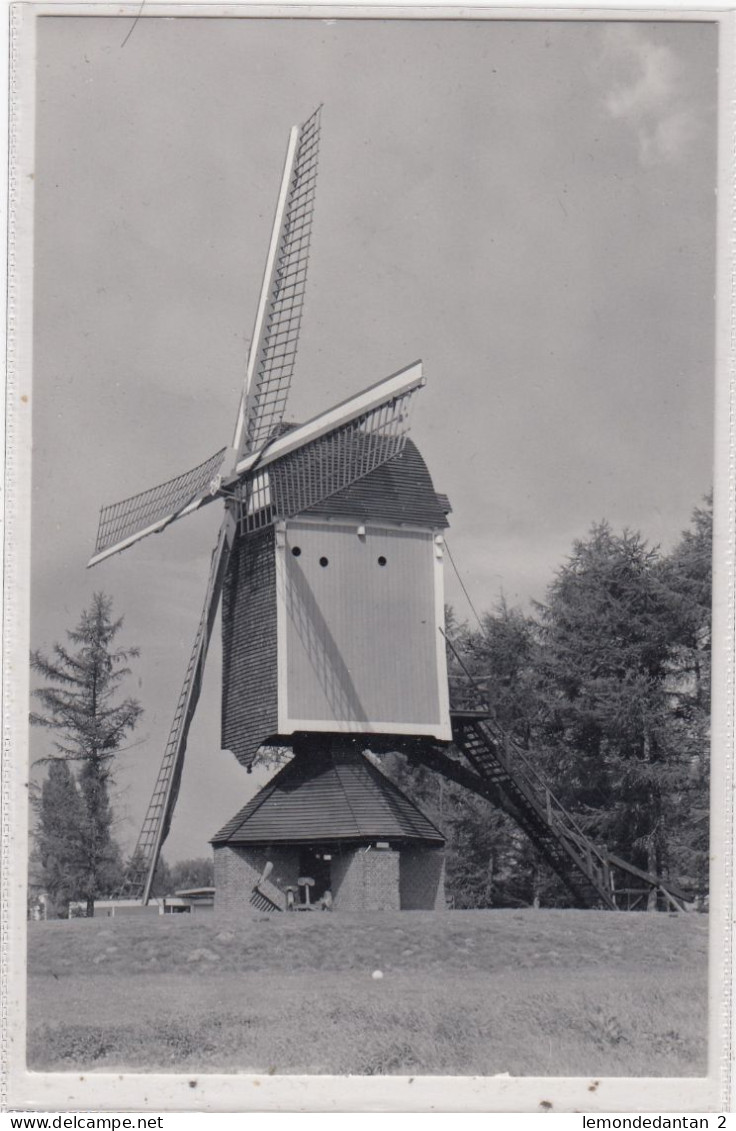 Geel. Larumse Molen. * - Geel