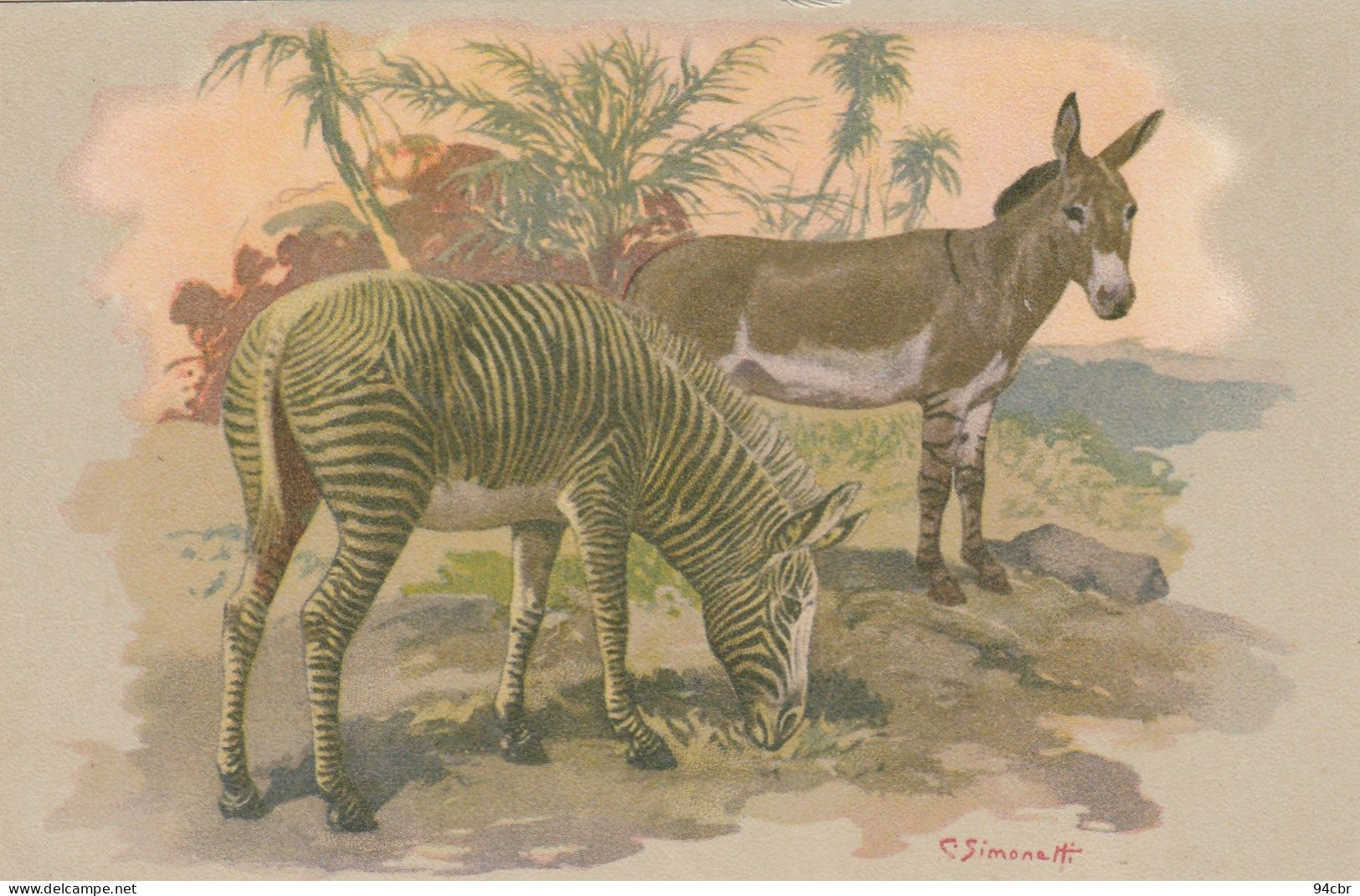 CPA (  Animaux) ZEBRE  ZEBRA DI GREVY (illustrateur Simonetti) (b.bur Theme) - Zèbres