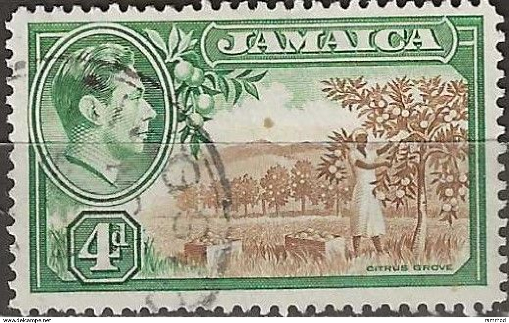 JAMAICA 1938 King George VI - Citrus Grove - 4d. - Brown And Green FU - Jamaica (...-1961)