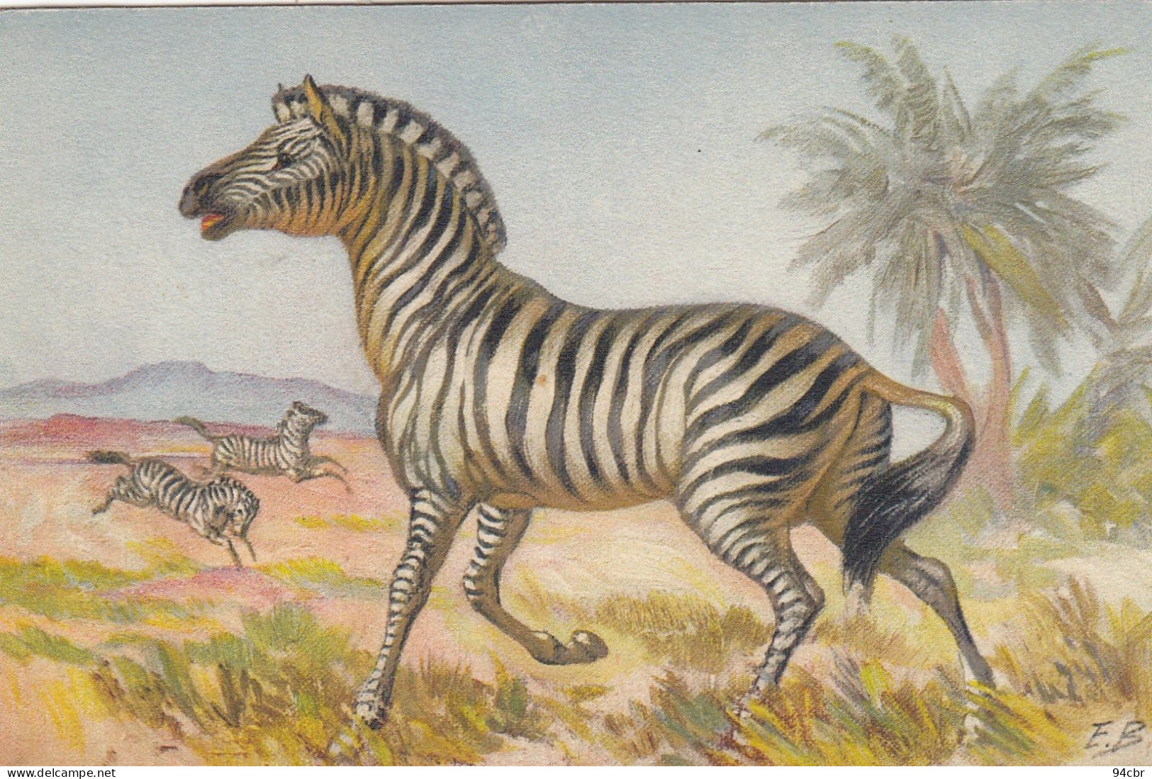 CPA (  Animaux) ZEBRE   (illustrateur E.B) (b.bur Theme) - Zebras