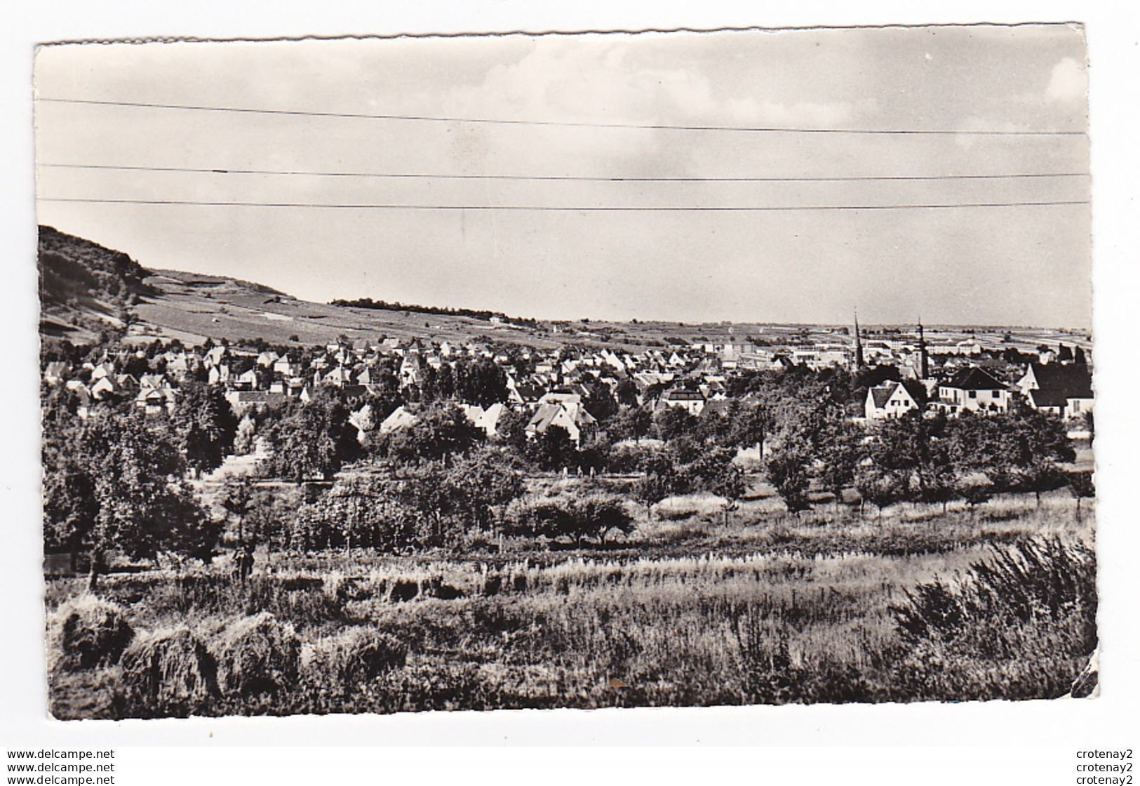 Rhénanie Palatinat Berg 6 BERGZABERN En 1962 VOIR DOS Et Timbre Français - Bad Bergzabern