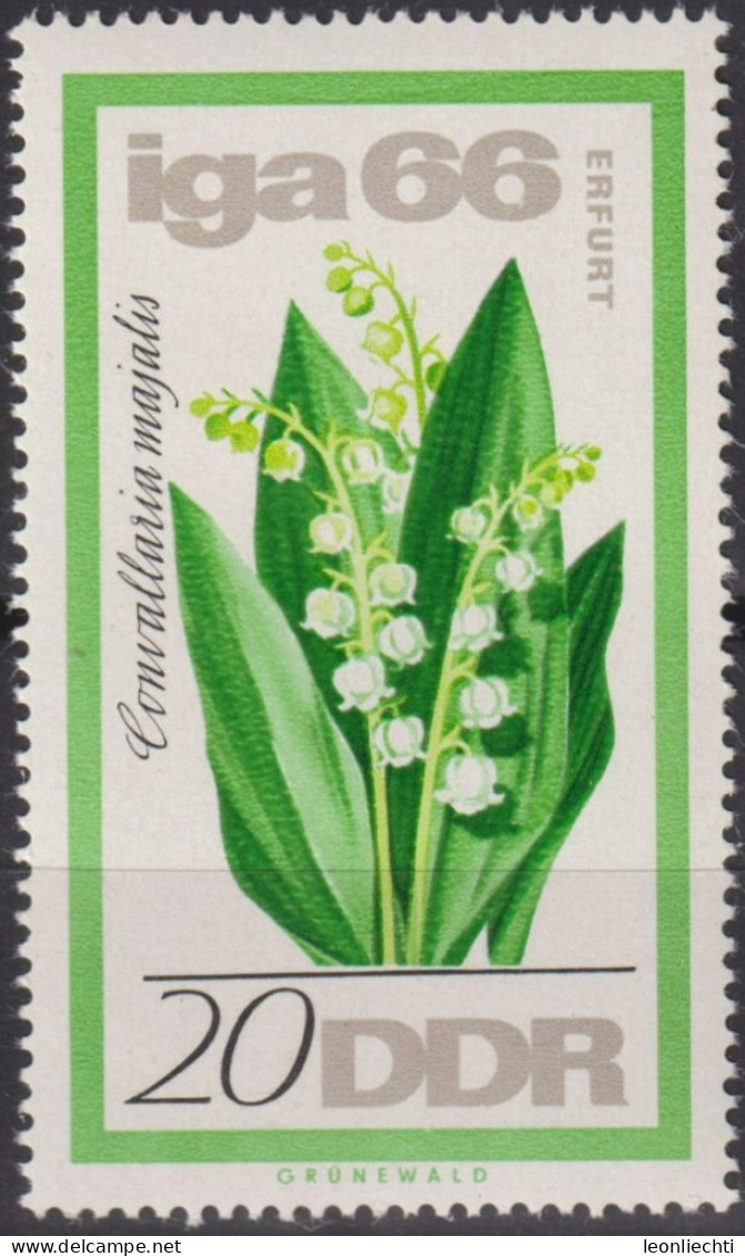 1966 DDR, ** Mi:DD 1189, Yt:DD 895, Maiglöckchen, Internationale Gartenbauausstellung In Erfurt - Giftige Pflanzen