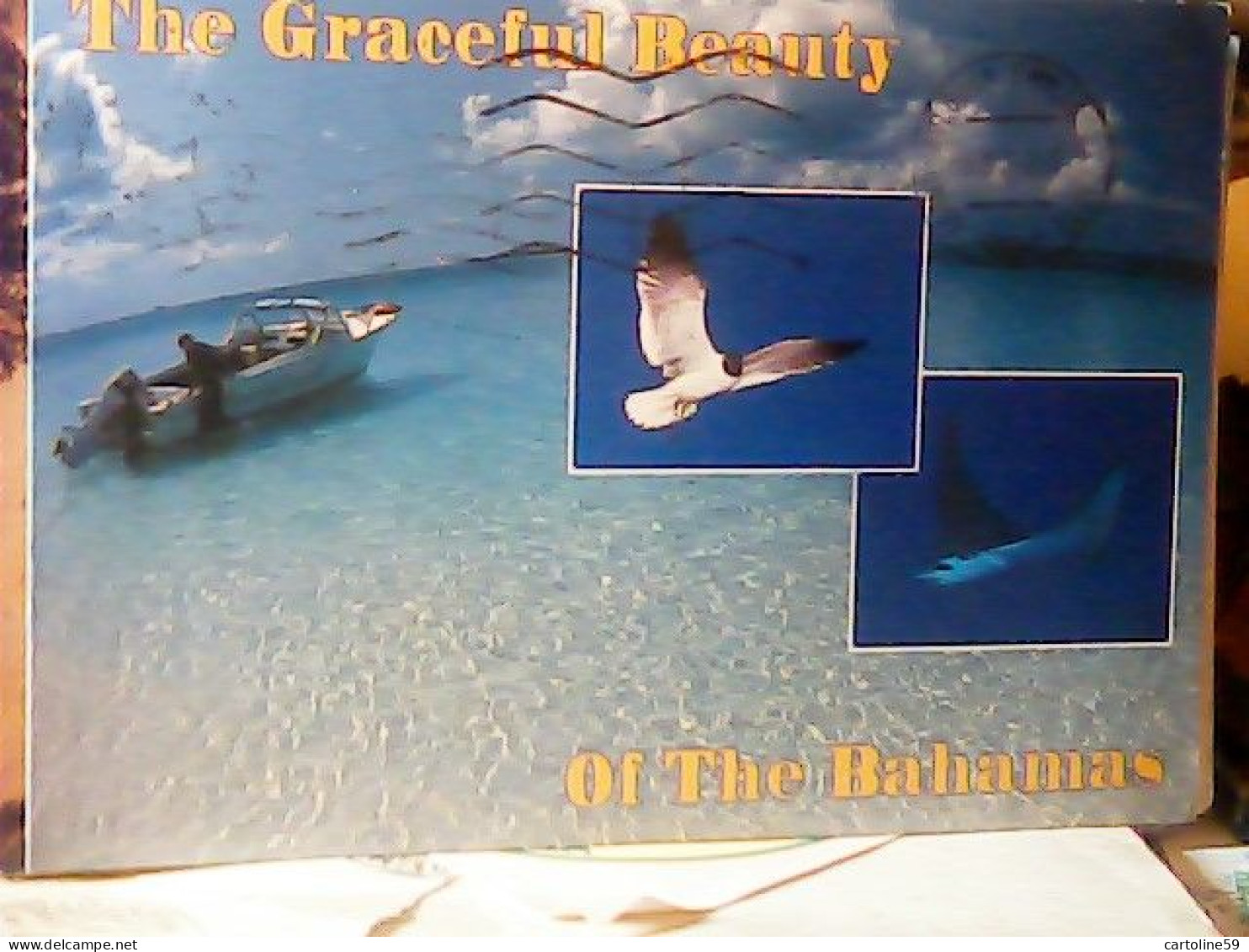 GRACEFULL BAHAMAS VEDUTE    VB1992 STAMP TIMBRE SELLO 40 C BIRD JU5013 - Bahama's
