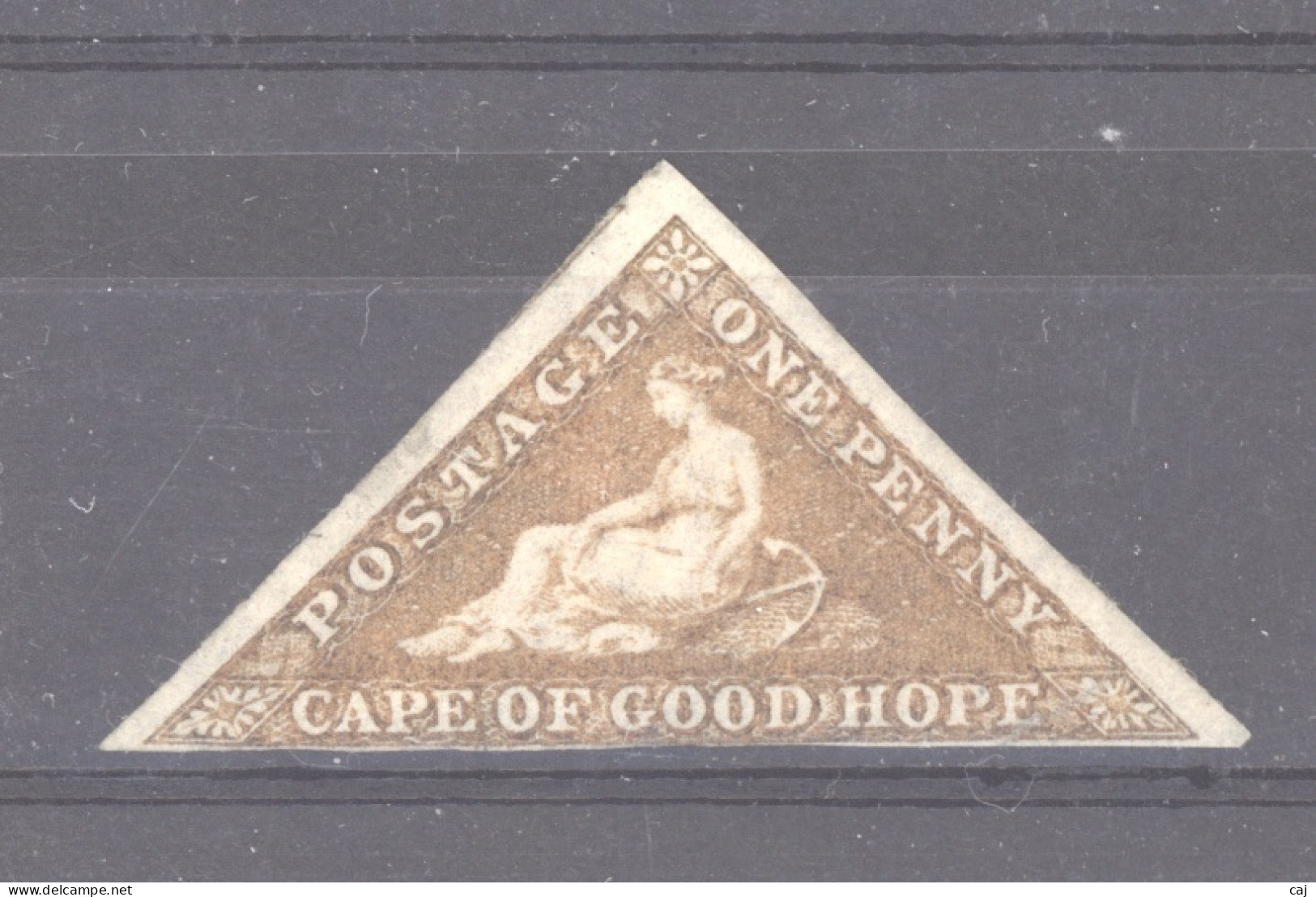 Cap De Bonne Espérance  :  Yv  1  *  Signé - Cape Of Good Hope (1853-1904)