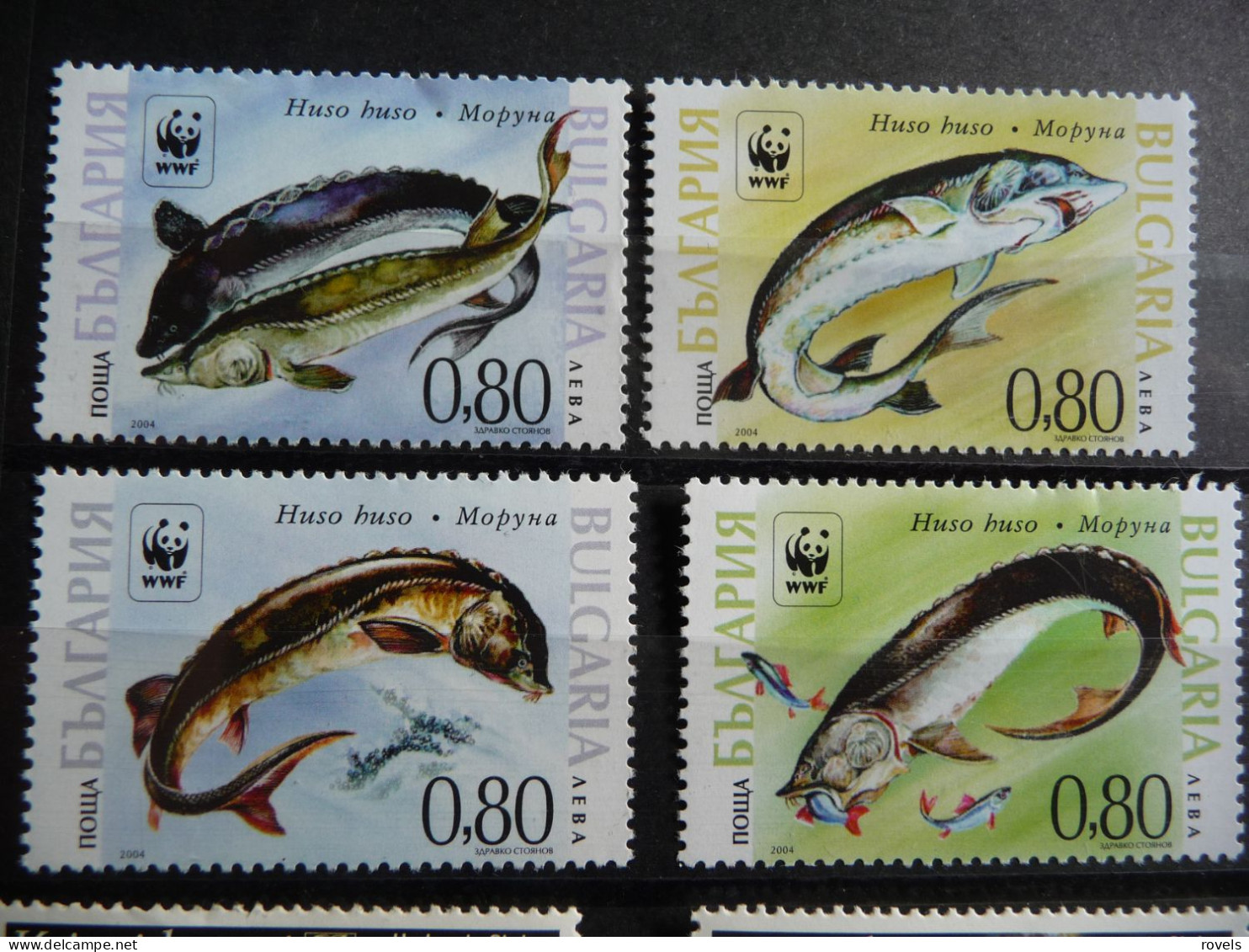 (8) Bulgaria 2004 Mi 4678-4681 MNH WWF - STURGEONS - Unused Stamps