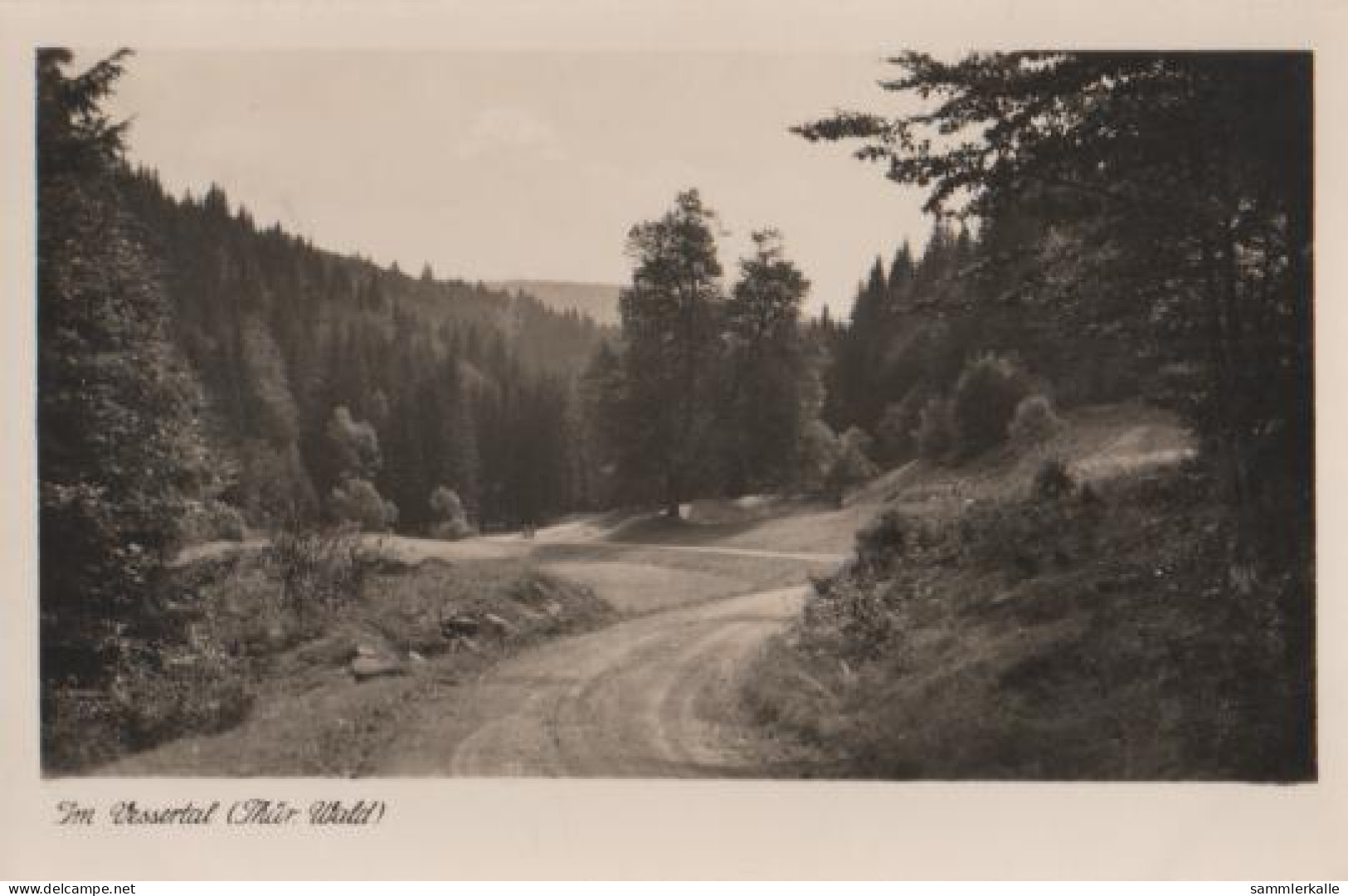 18569 - Vessertal Im Thüringer Wald - Ca. 1955 - Schmiedefeld