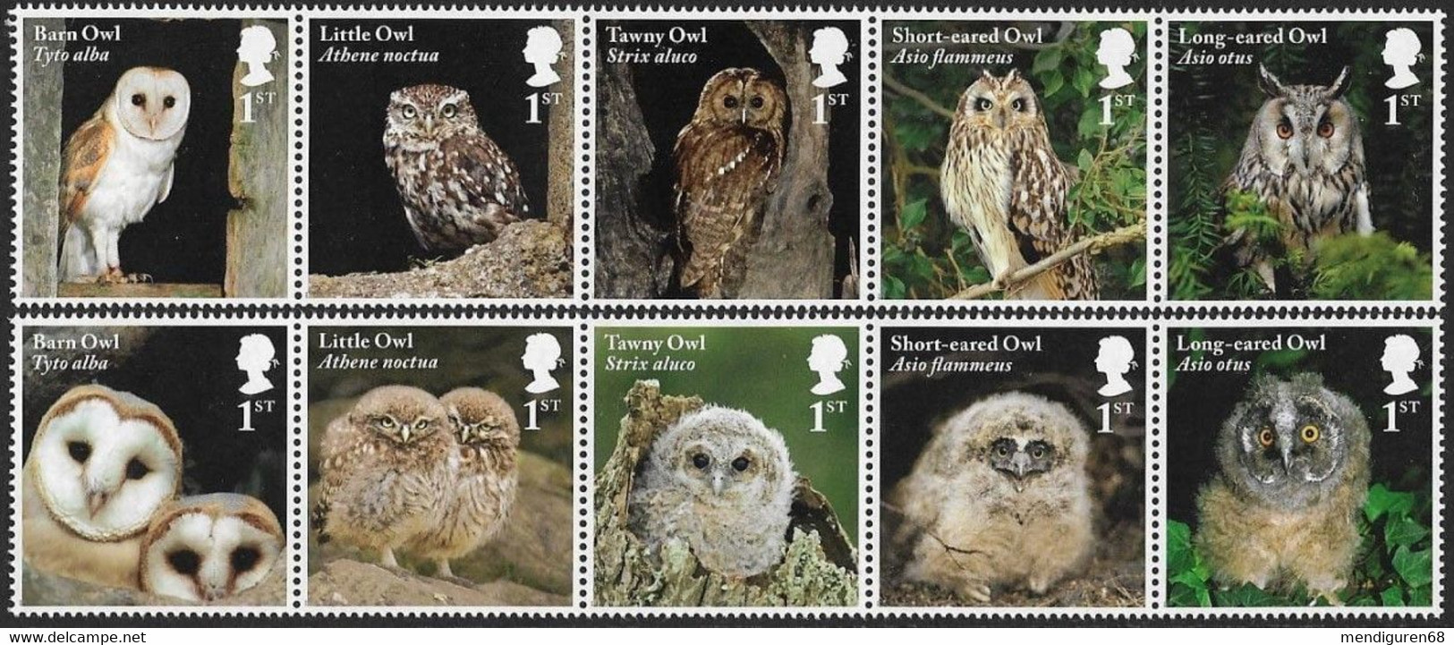 GROSSBRITANNIEN GRANDE BRETAGNE GB 2018 OWLS SET OF 10V MNH SG 4082-91 MI 4202-11 YT 4622-31 SC 3721-30 - Unused Stamps