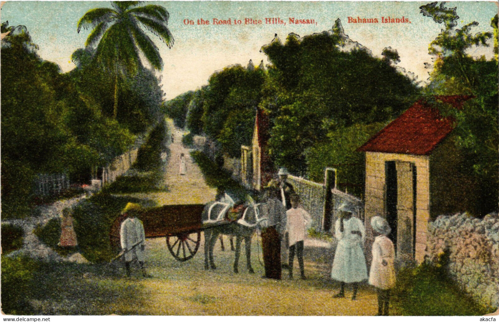PC BAHAMAS CARIBBEAN NASSAU ON THE ROAD TO BLUE HILLS Vintage Postcard (b52218) - Bahamas