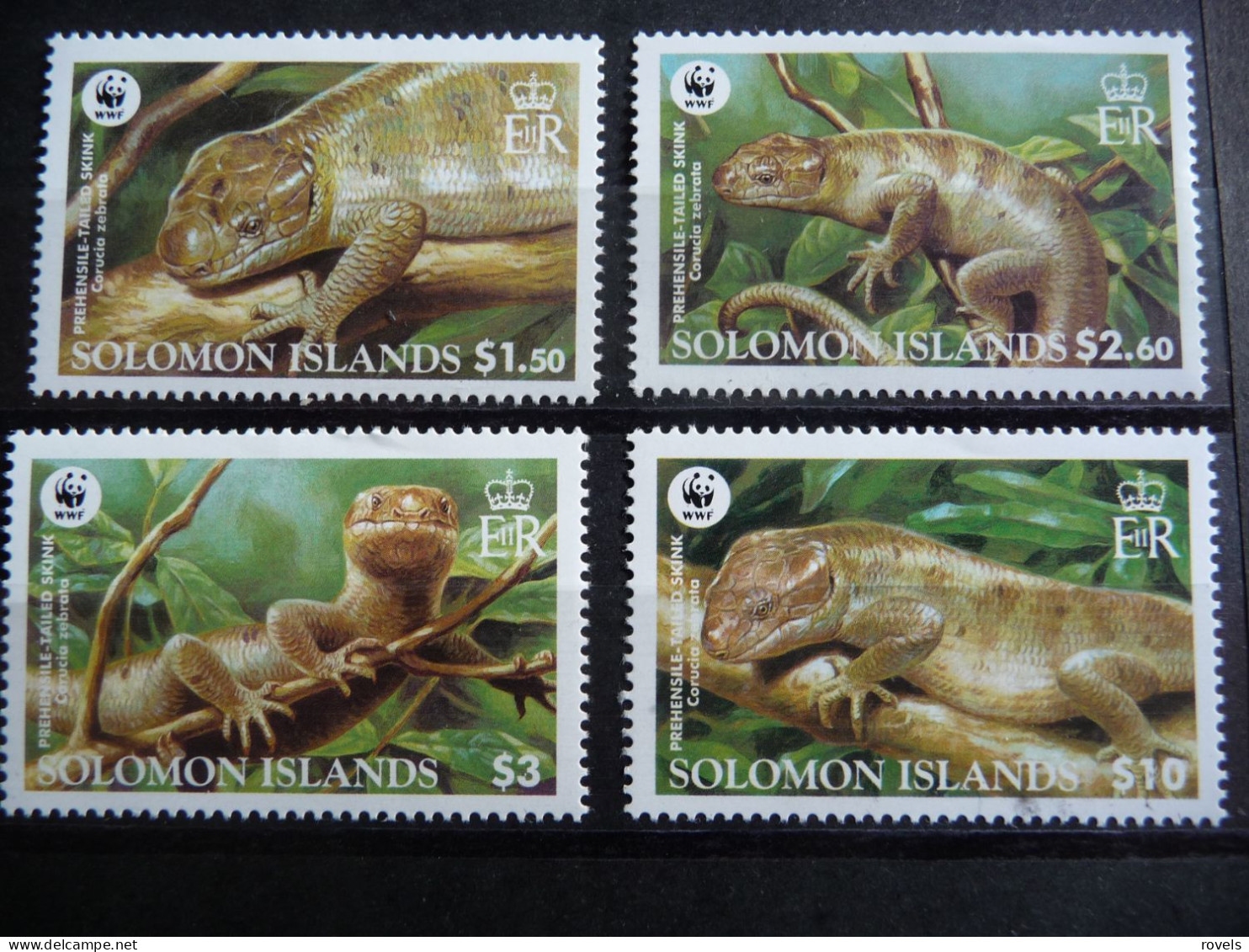 (8) SOLOMON ISLAND MNH 4v REUZENKINK CORUCIA ZEBRABATA WWF - Islas Salomón (1978-...)
