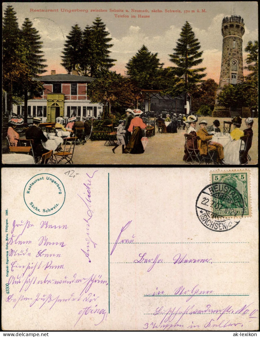 Ansichtskarte Neustadt (Sachsen) Restaurant Ungerberg 1907 - Neustadt