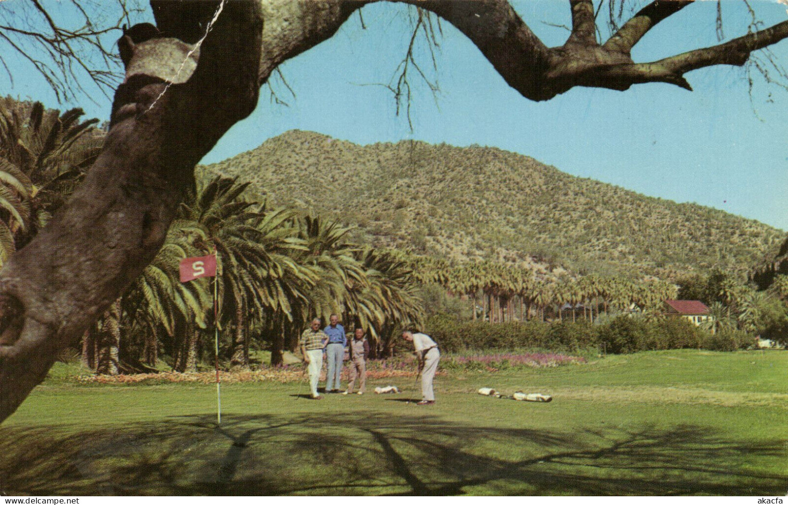 PC US, CASTLE HOT SPRINGS HOTEL, CASTLE HOT SPRINGS AZ, MODERN Postcard (b52341) - Other & Unclassified