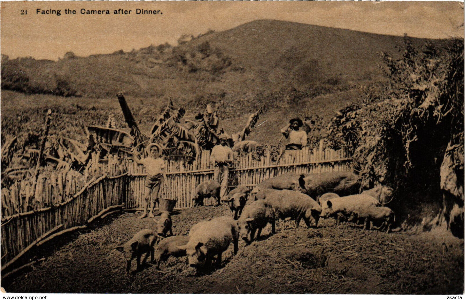 PC VIRGIN ISLANDS FACING THE CAMERA AFTER DINNER Vintage Postcard (b52258) - Isole Vergine Britanniche