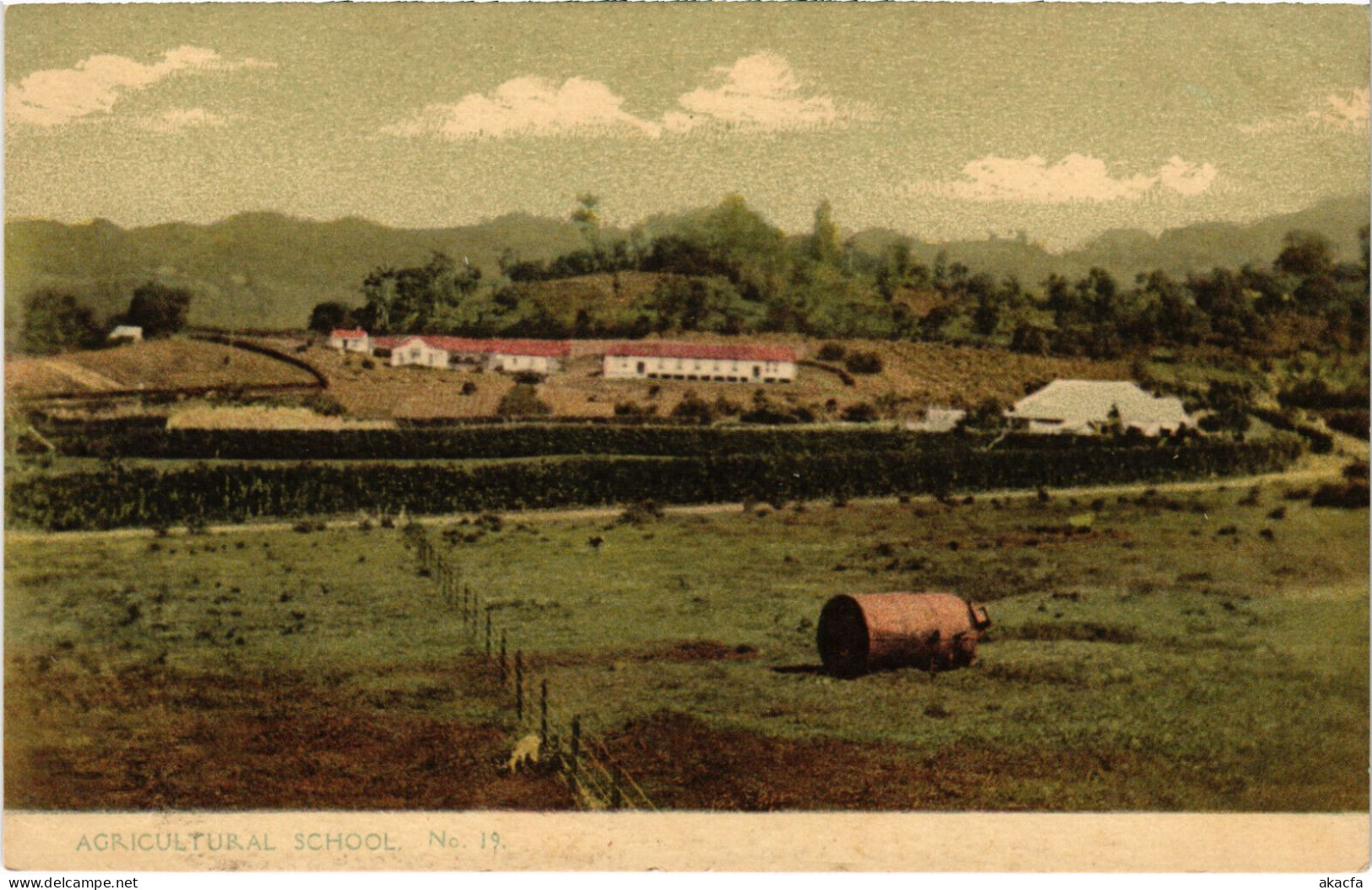 PC VIRGIN ISLANDS ST. VINCENT AGRICULTURAL SCHOOL Vintage Postcard (b52250) - Isole Vergine Britanniche