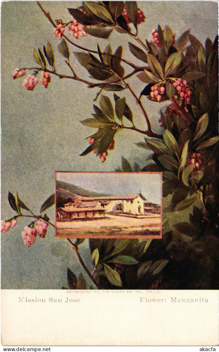 PC COSTA RICA MISSION SAN JOSE MANZANITA FLOWER Vintage Postcard (b52237) - Costa Rica