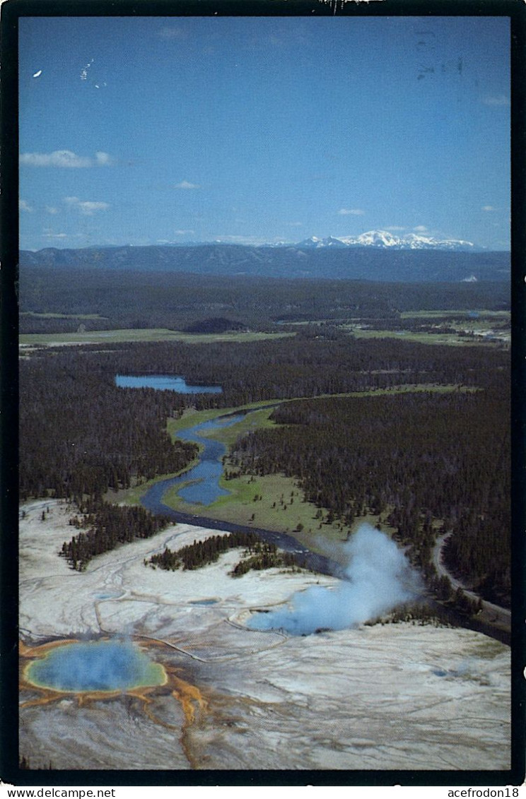 Cpm Postée De Yellowstone (USA) Pour Bourges (18) - Tb 55c Flowers 2000 - Used Stamps