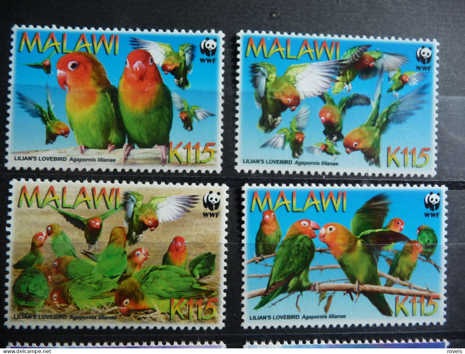 (8)  Malawi 2009 WWF, Lilians Lovebird 4v, Mint NH, Nature - Birds - Parrots - World Wildlife Fund - Malawi (1964-...)