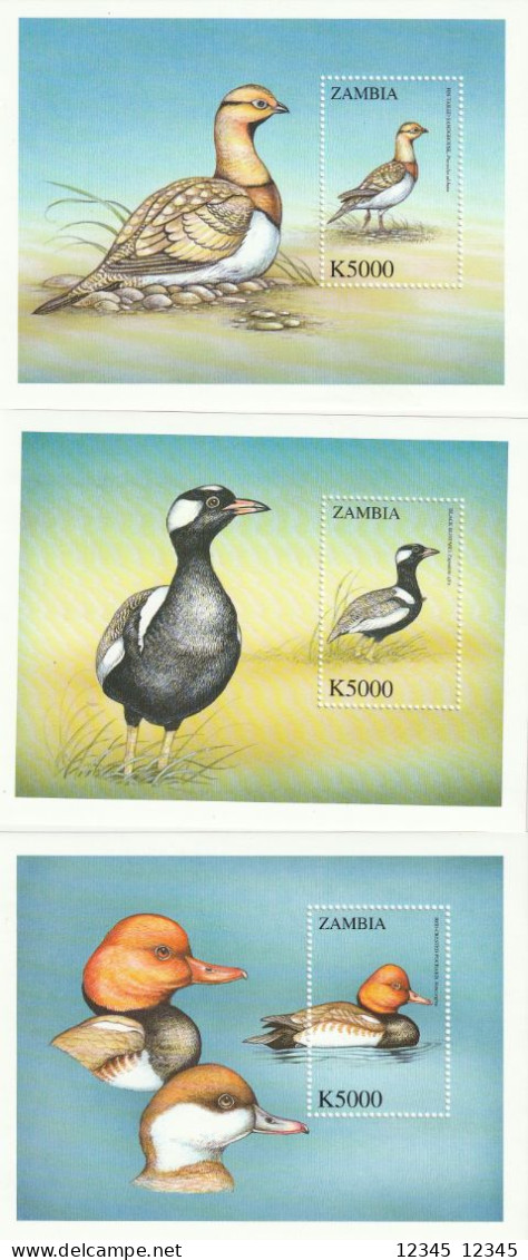 Zambia 2000, Postfris MNH, Birds - Zambie (1965-...)