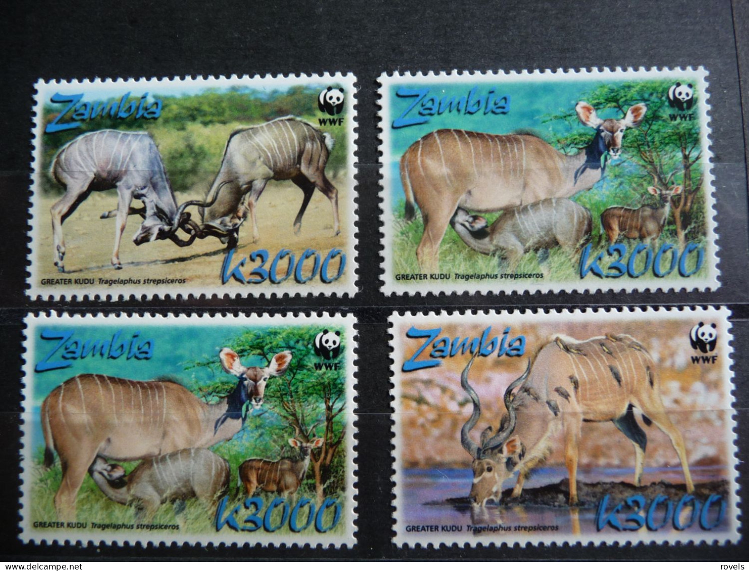 (8) ZAMBIA, FAUNA, MAMIFEROS, WWF, 2008, MNH. - Zambie (1965-...)