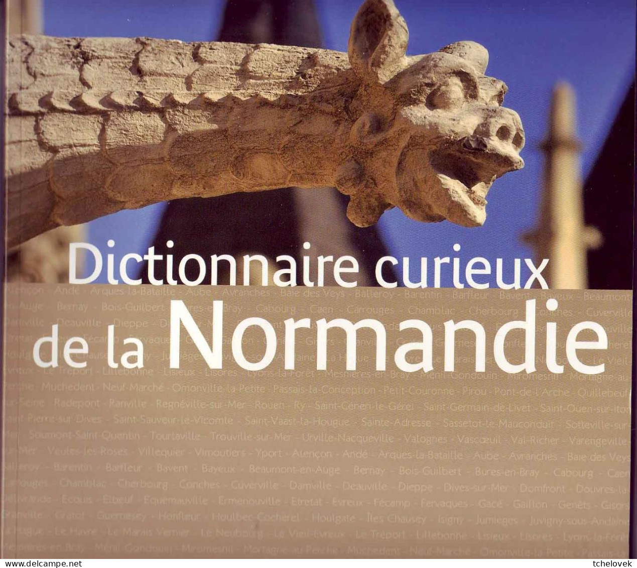 (Livres). Regionalisme. Beau Livre Dictionnaire Curieux De La Normandie. Neuf - Normandie