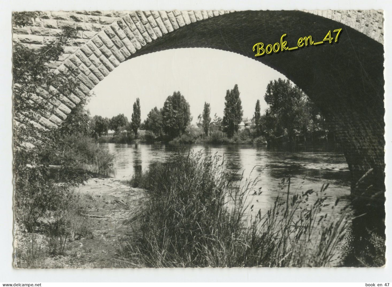 {91246} 86 Vienne Dangé , Les Bords De La Vienne - Dange Saint Romain