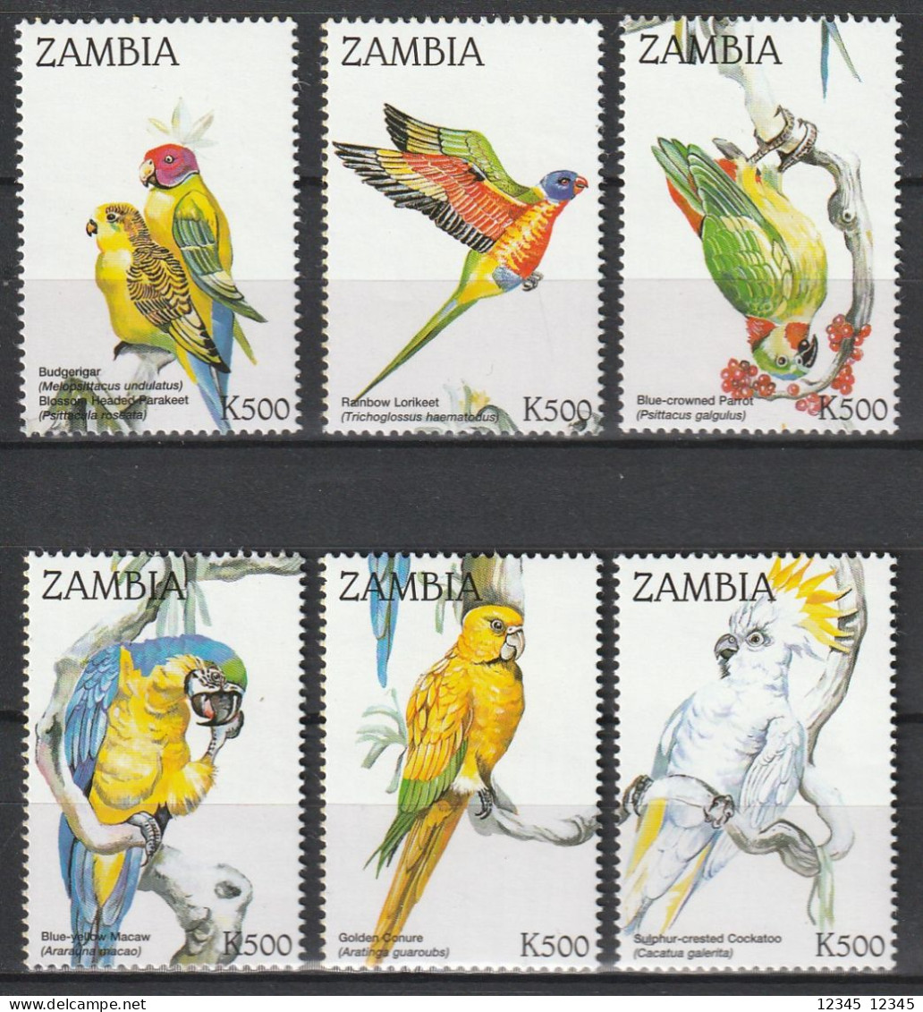 Zambia 1998, Postfris MNH, Birds, Parrots - Zambie (1965-...)