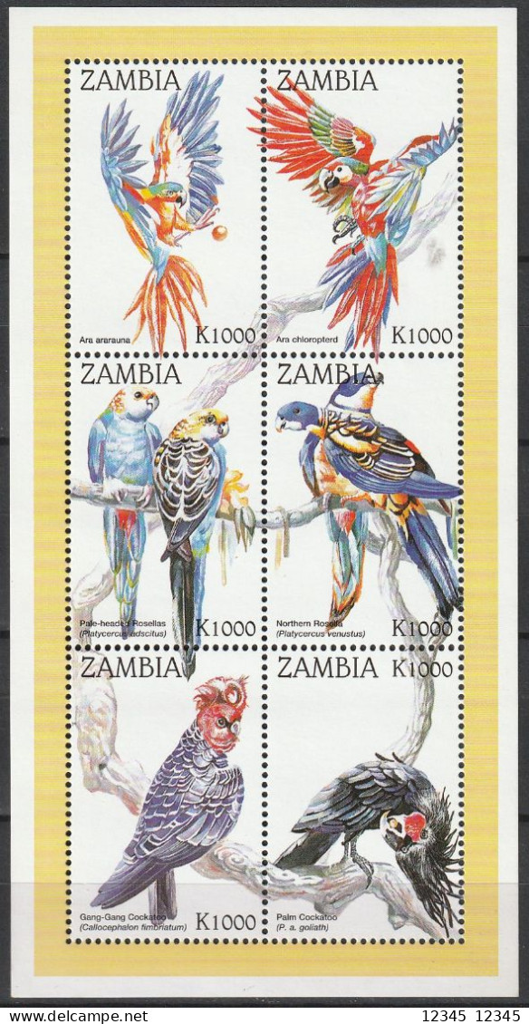 Zambia 1998, Postfris MNH, Birds, Parrots - Zambie (1965-...)