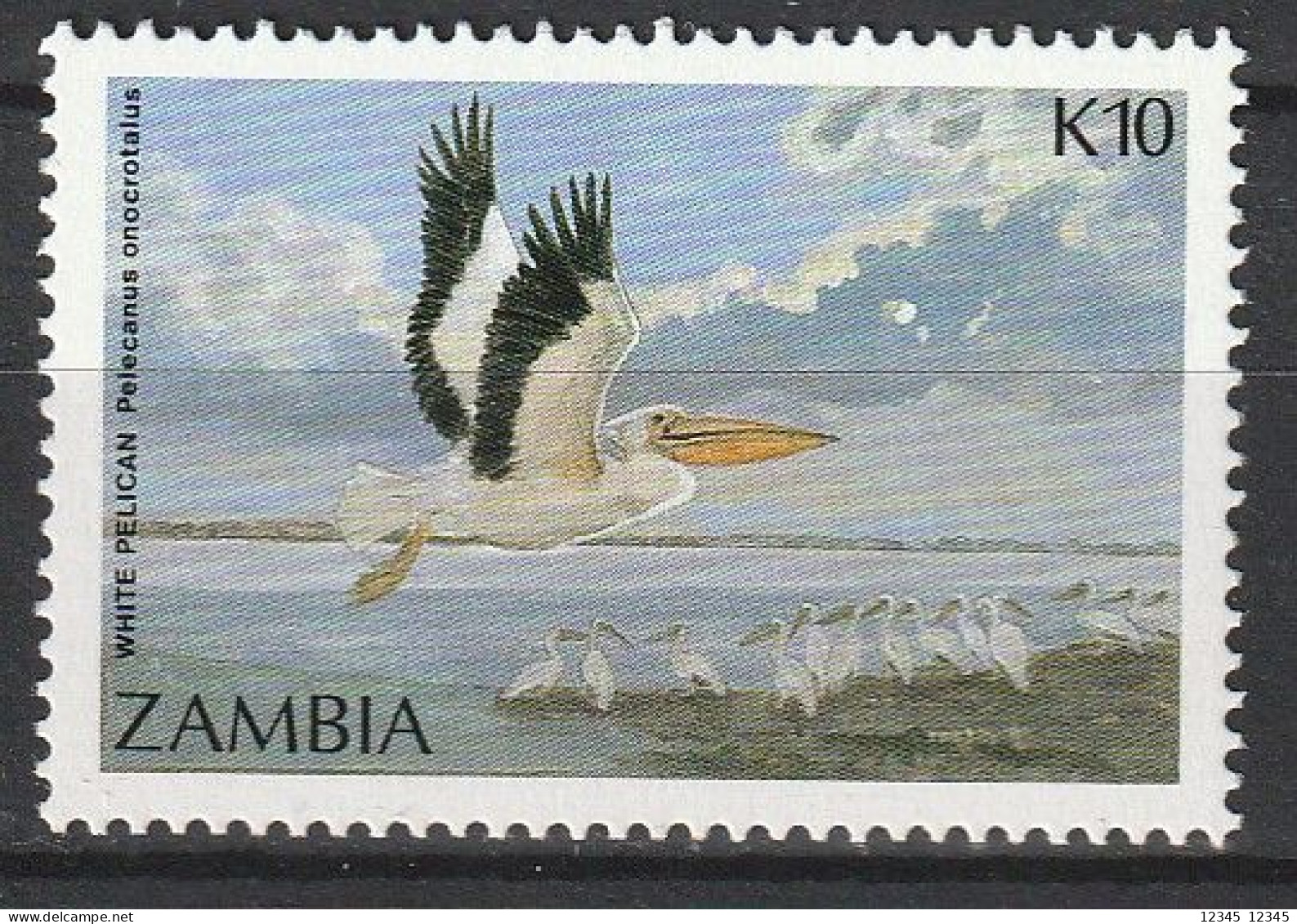 Zambia 1987, Postfris MNH, Birds - Zambie (1965-...)