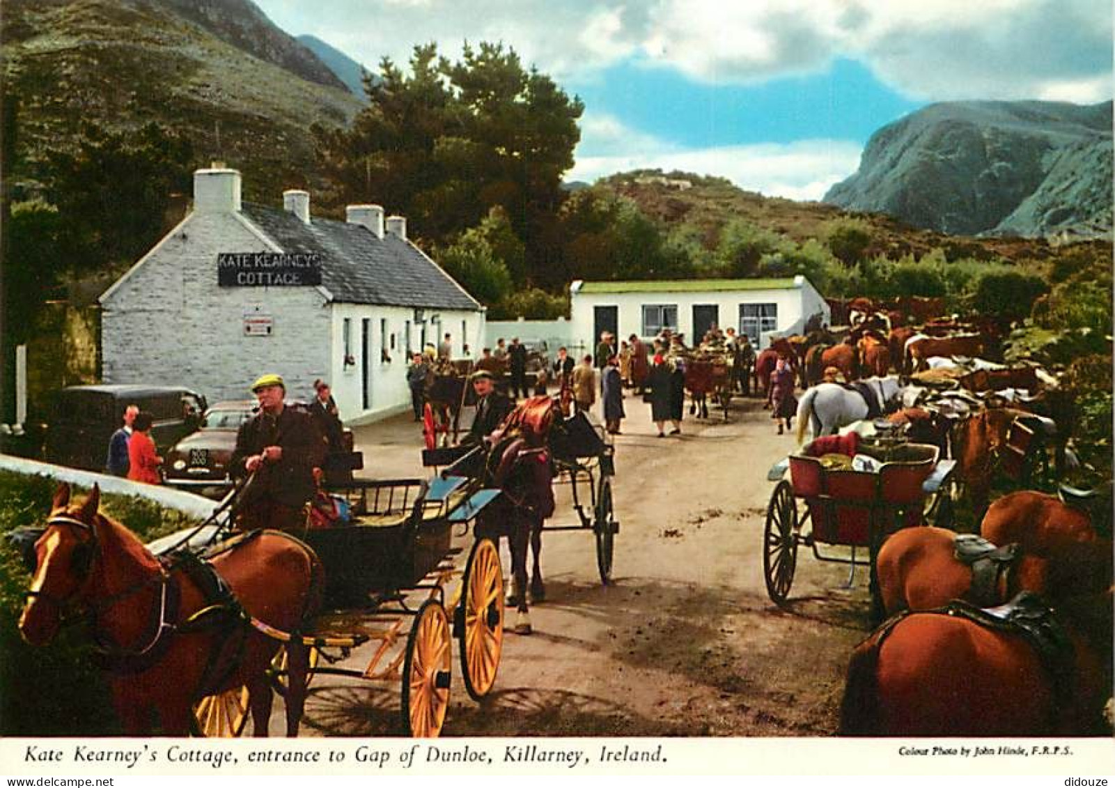Irlande - Kerry - Killarney - Kate Kearney's Cottage, Entrance To Gap Of Dunloe - Chevaux - Carte Neuve - Ireland - CPM  - Kerry