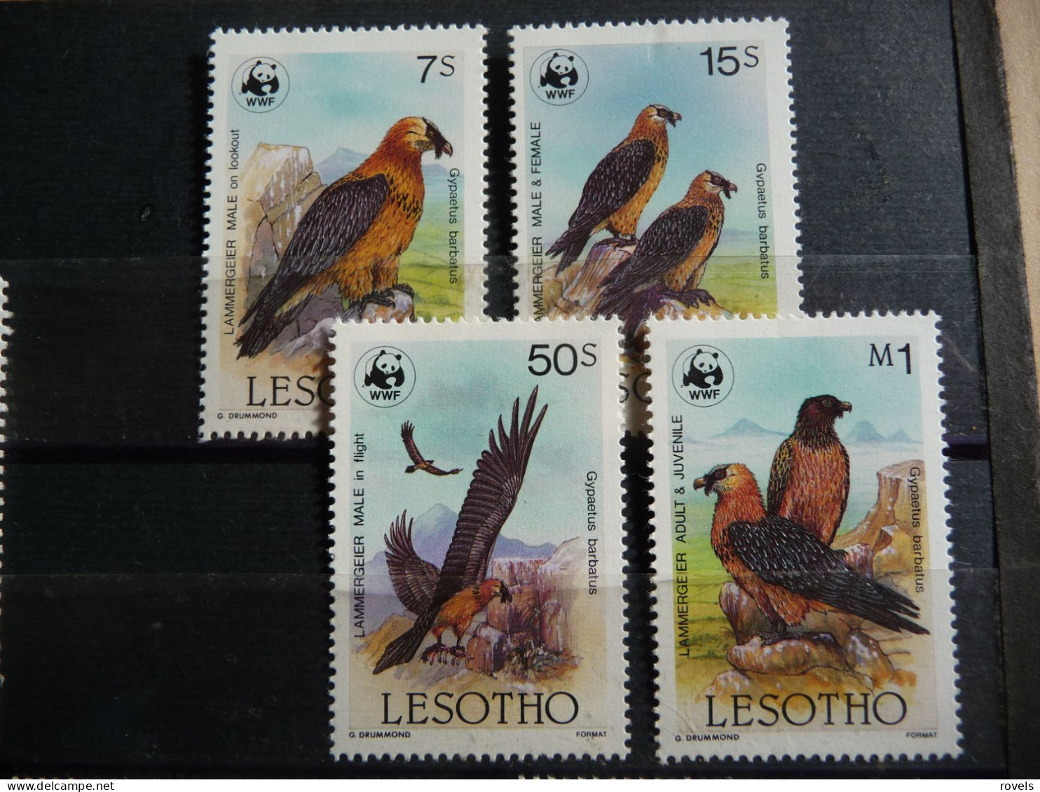 (8) Lesotho 1986 WWF, Vultures 4v, MNH , Nature - Birds - Birds Of Prey . - Lesotho (1966-...)