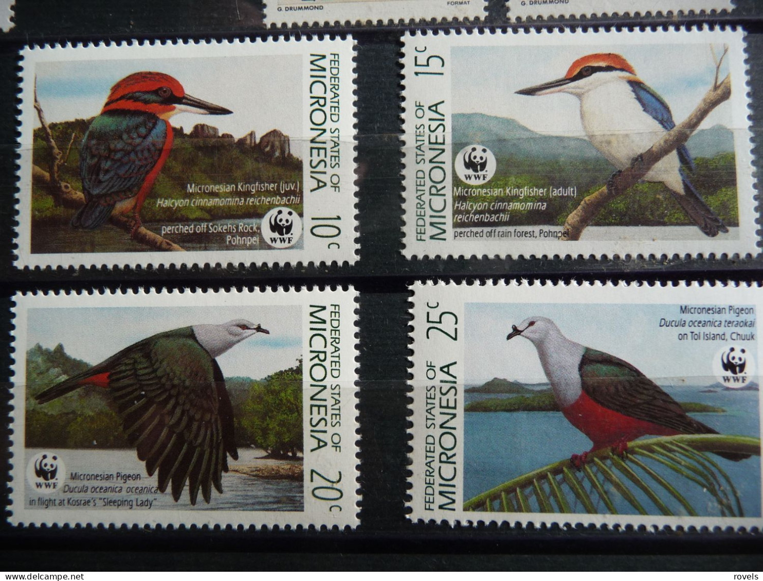 (8) Micronesia 1990 WWF, Birds 4v, MNH, Nature - Birds - World Wildlife Fund (WWF) - Kingfishers - Pigeons - Micronésie