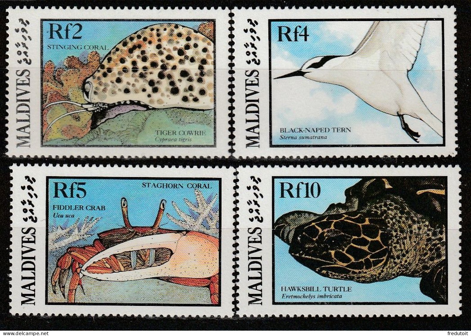 MALDIVES - N°1098/1101 ** (1986) Faune Marine - Malediven (1965-...)