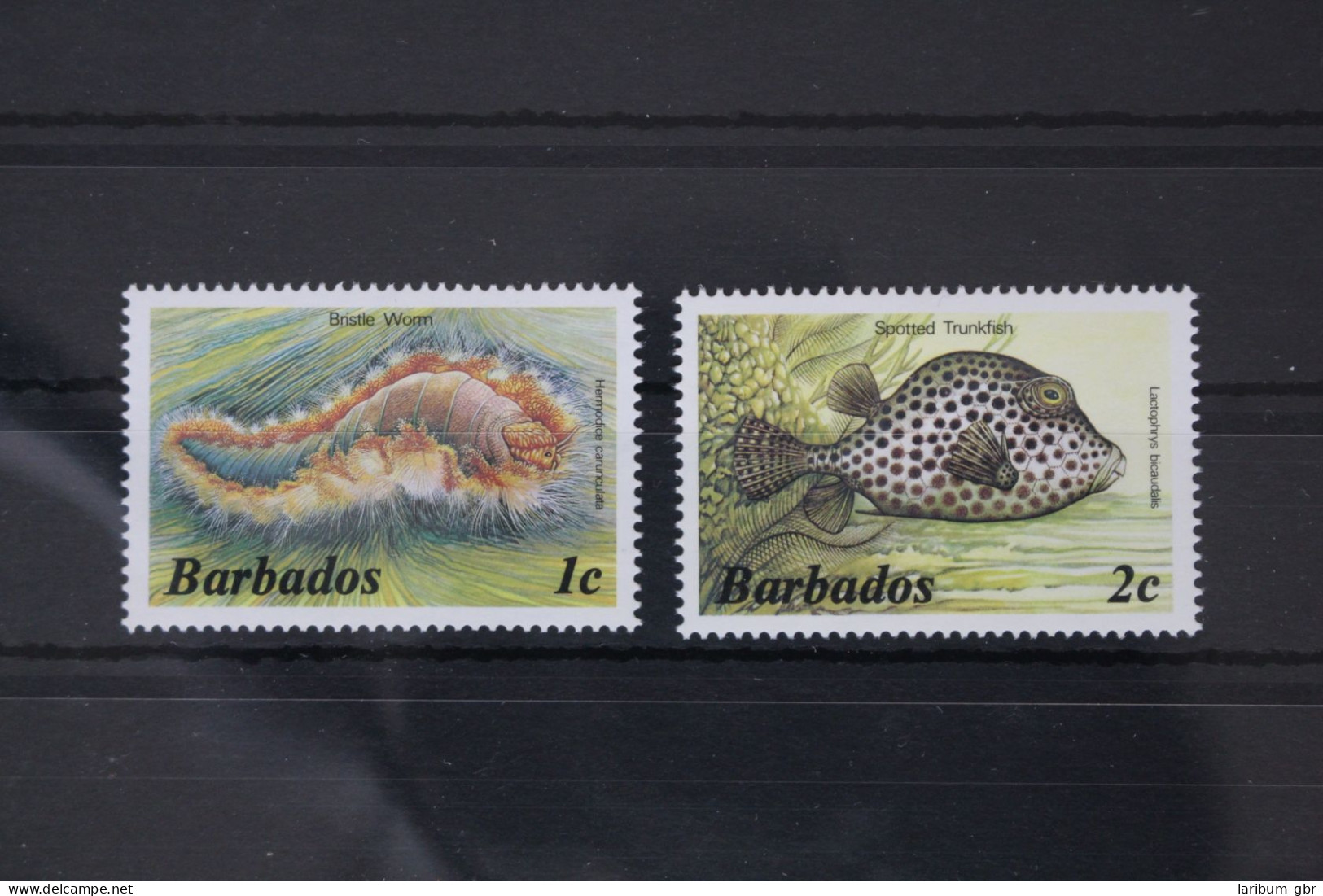 Barbados 617XI-618 XI Postfrisch Meerestiere, Fische #WW733 - Barbados (1966-...)