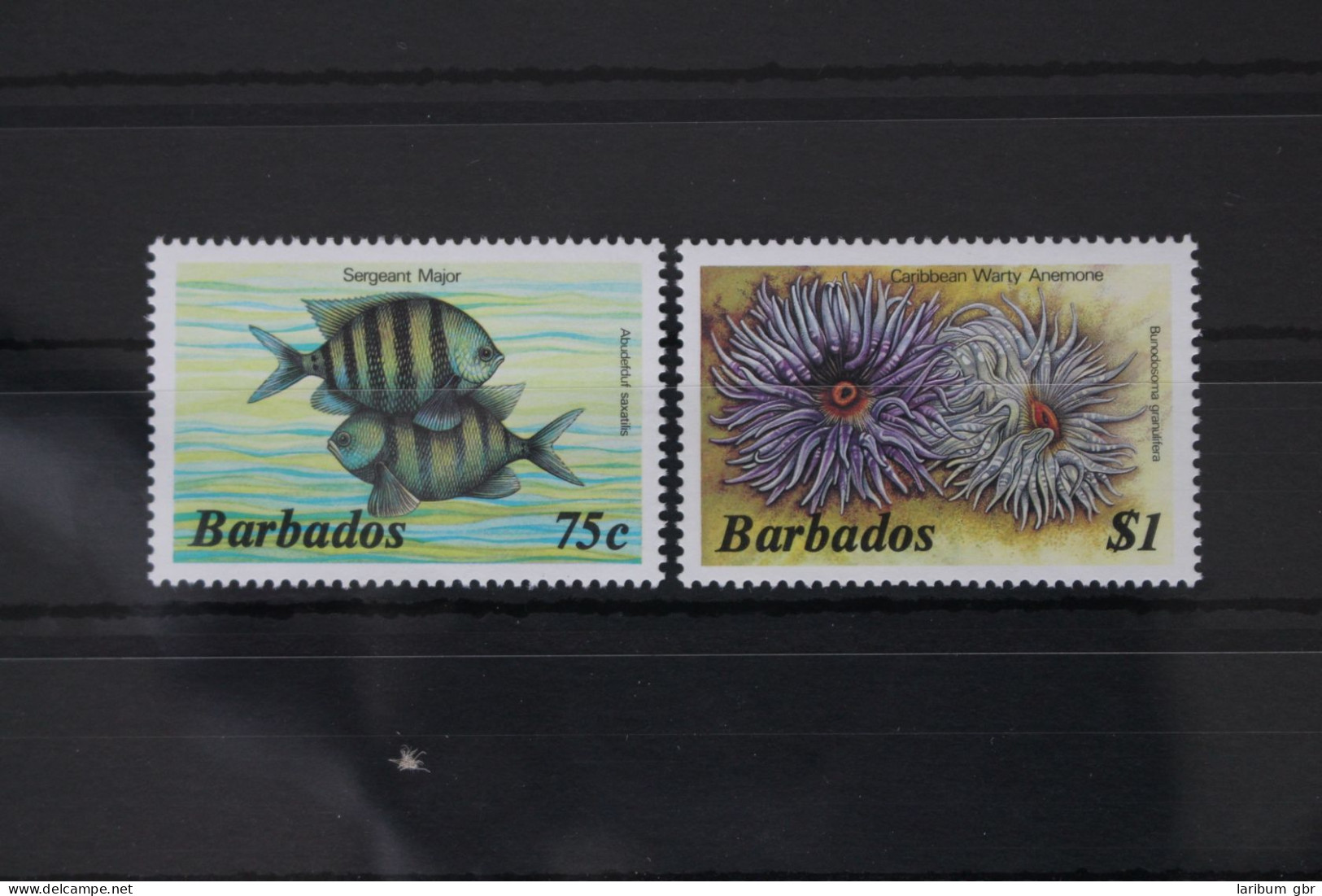 Barbados 6128XI-629XI Postfrisch Meerestiere, Fische #WW734 - Barbados (1966-...)