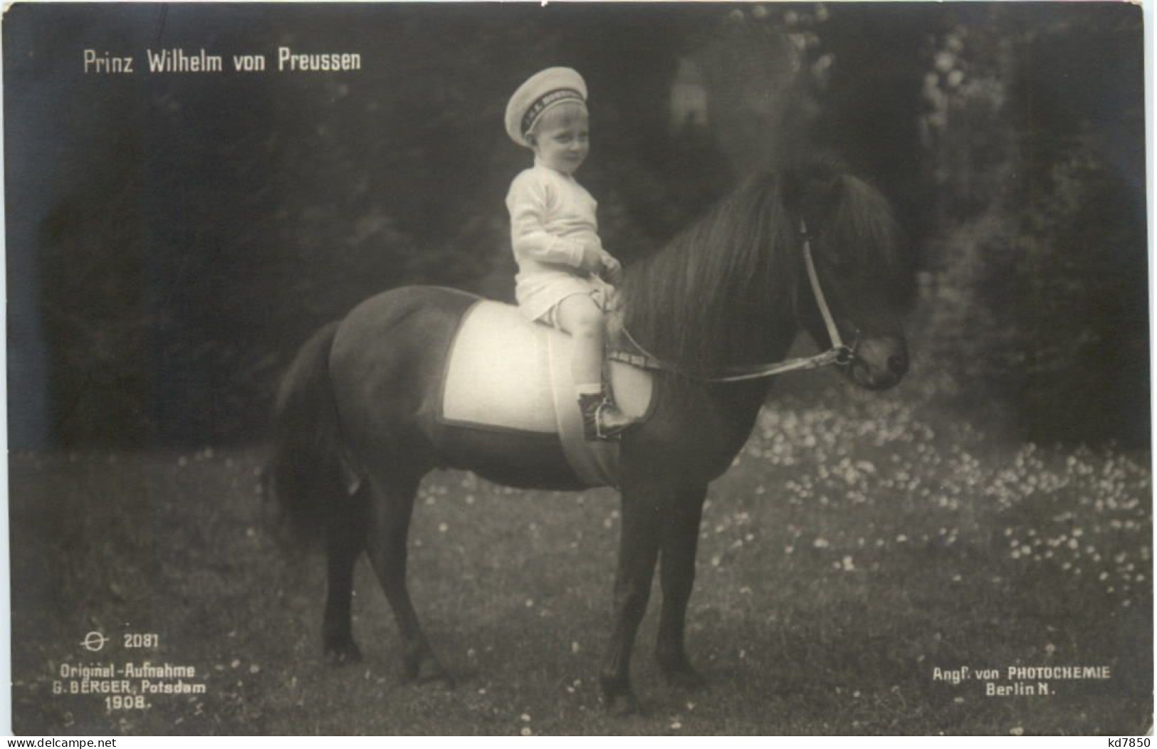 Prinz Wilhlem Von Preussen - Familles Royales