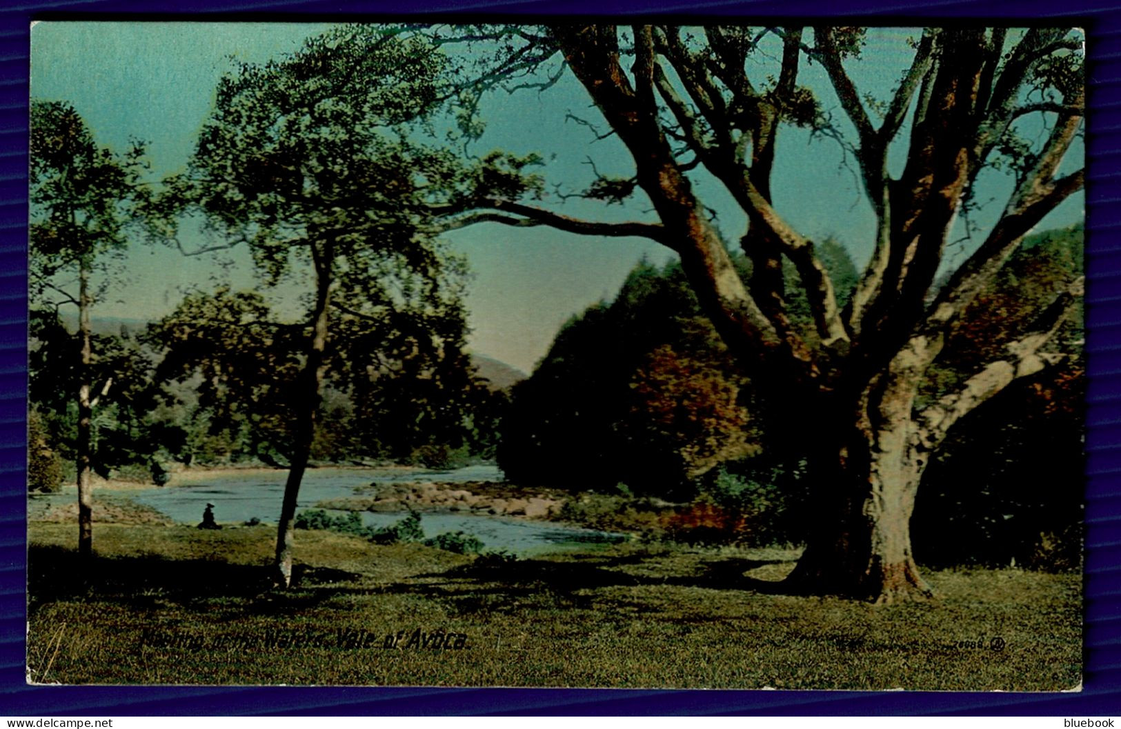 RB 1634 - Early Postcard - Meeting Of The Waters - Vale Of Avoca - Co Wicklow Ireland Eire - Wicklow