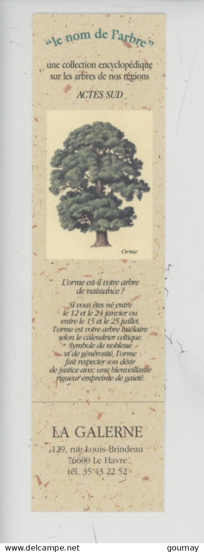 Marque-pages "L'Orme Le Nom De L'arbre - Actes Sud - Calendrier Celtique" Le Havre Librairie La Galerne Rue Victor Hugo - Trees