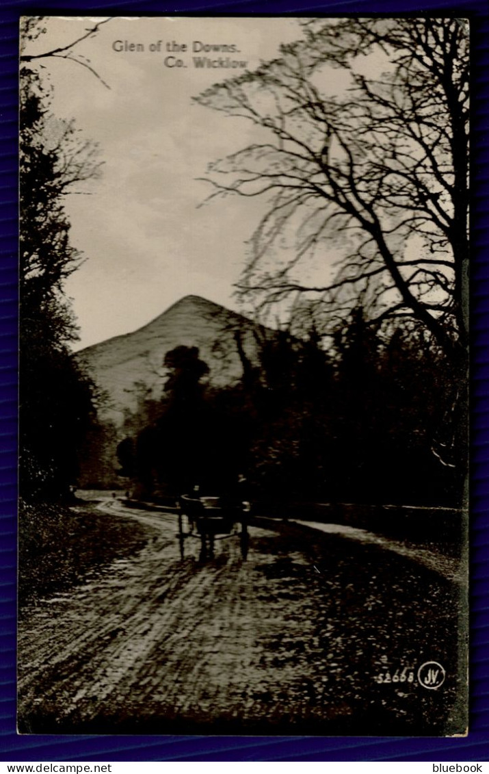 RB 1634 - Early Postcard - Horse Cart In Glen Of The Downs - County Wicklow Ireland Eire - Wicklow